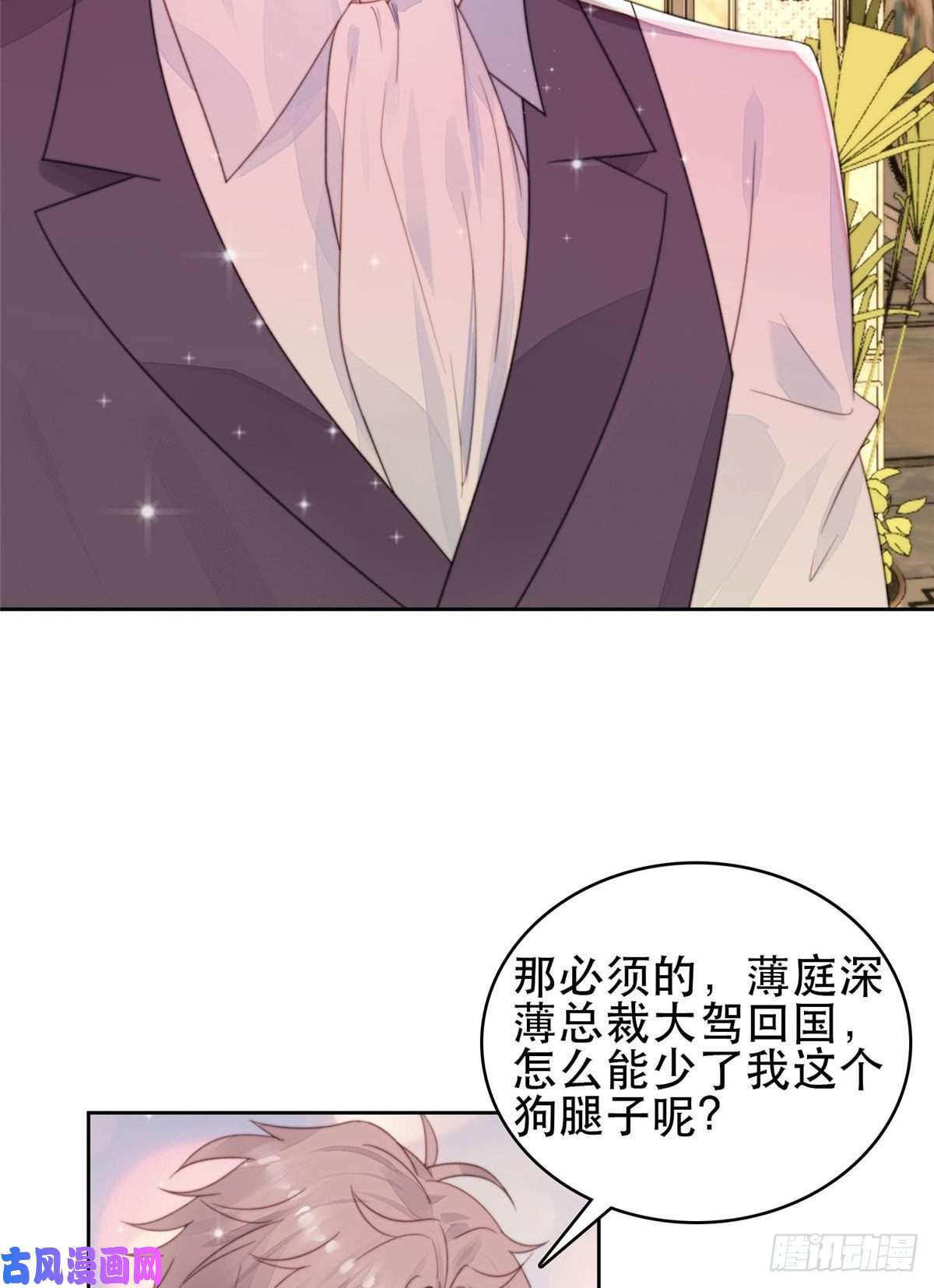 我靠大佬稳住男团c位04 小奶狗惊艳全场
