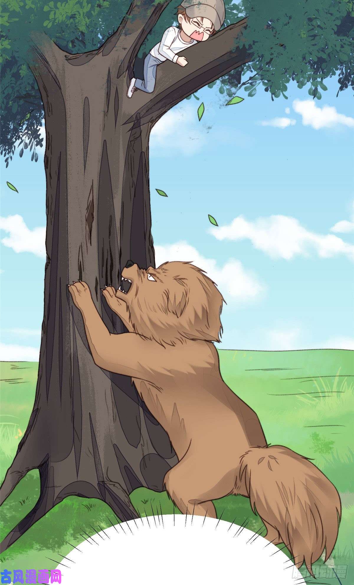 我靠大佬稳住男团c位34 薄总你来了