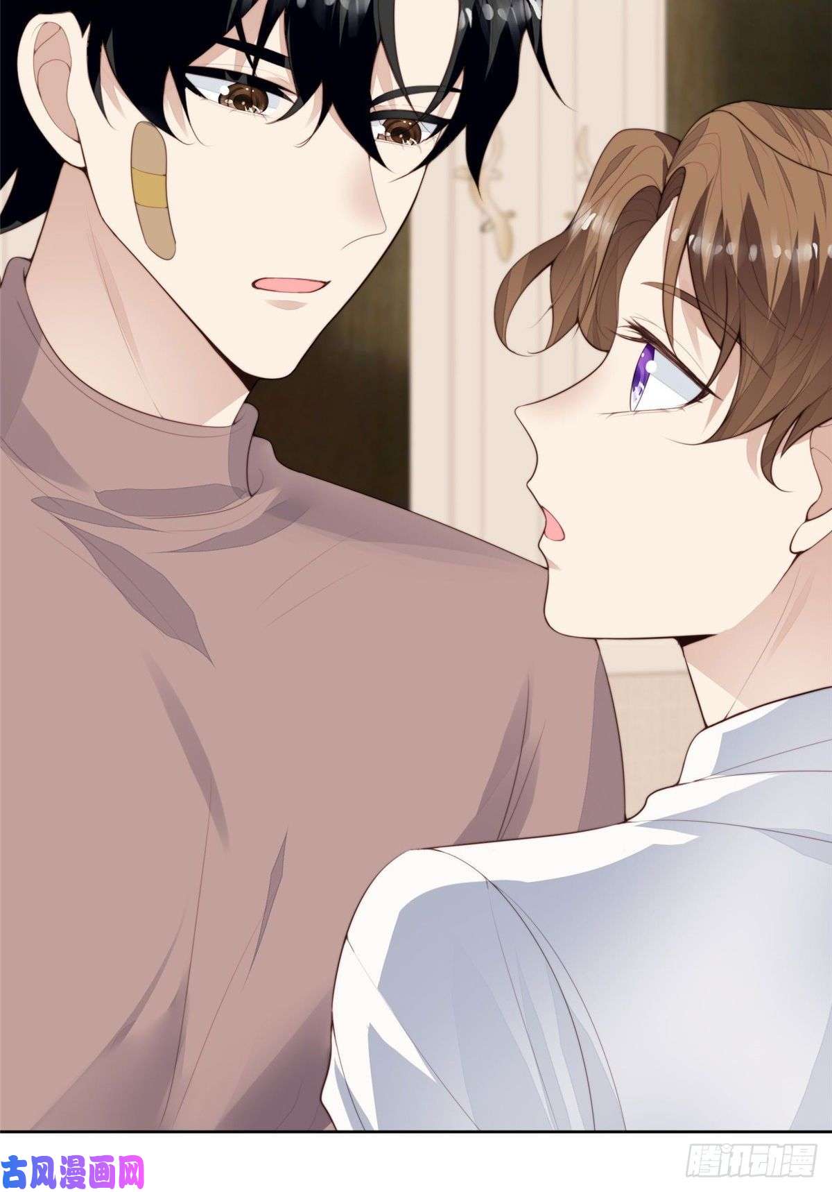 我靠大佬稳住男团c位74 薄总呜呜呜