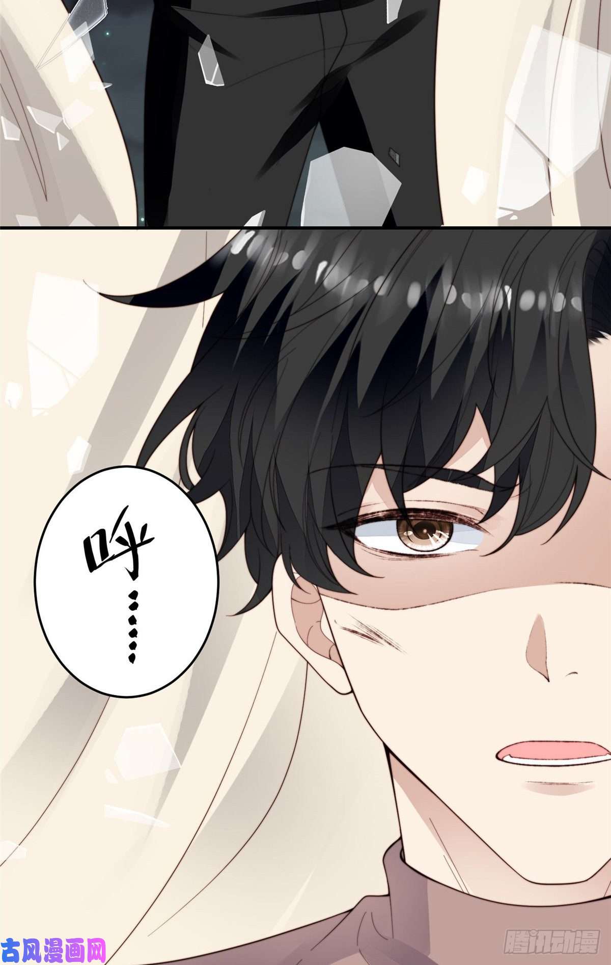 我靠大佬稳住男团c位74 薄总呜呜呜