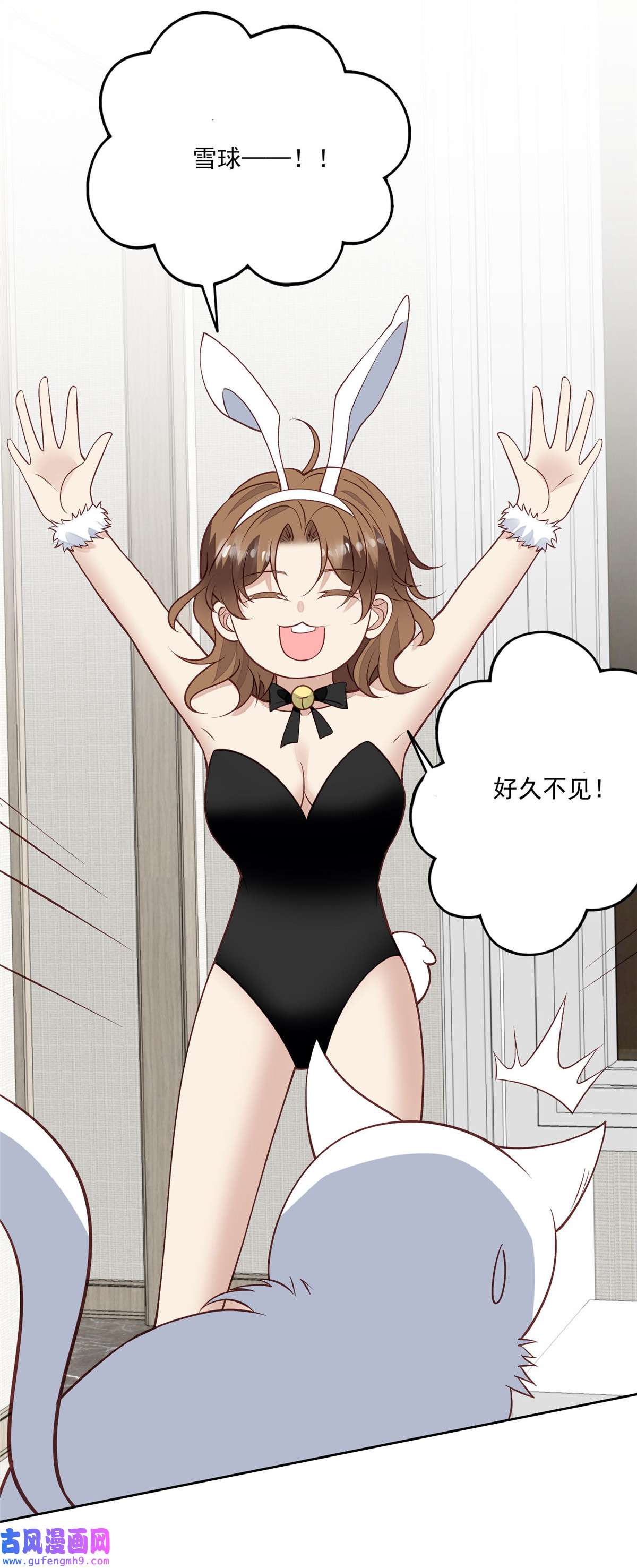 我靠大佬稳住男团c位106 兔女郎