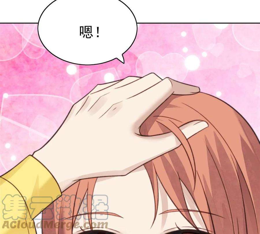我靠大佬稳住男团c位13 叶绿茶羡