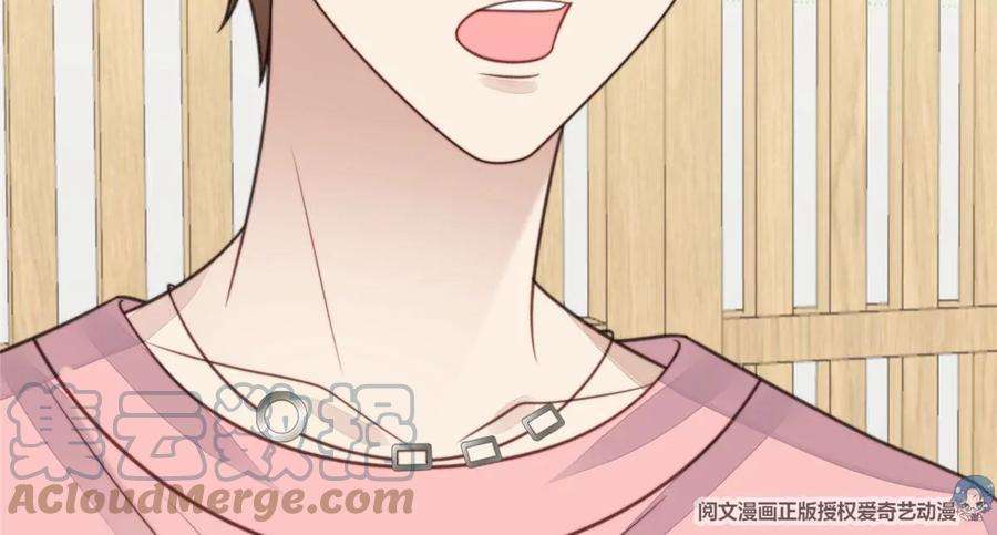 我靠大佬稳住男团c位13 叶绿茶羡