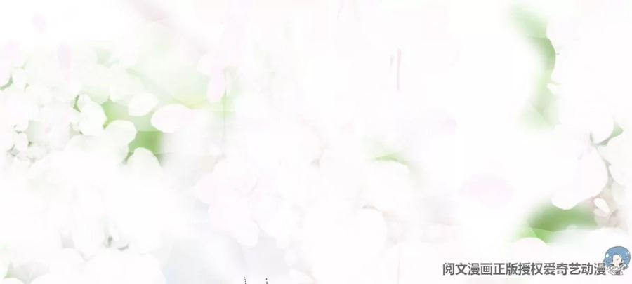我靠大佬稳住男团c位13 叶绿茶羡
