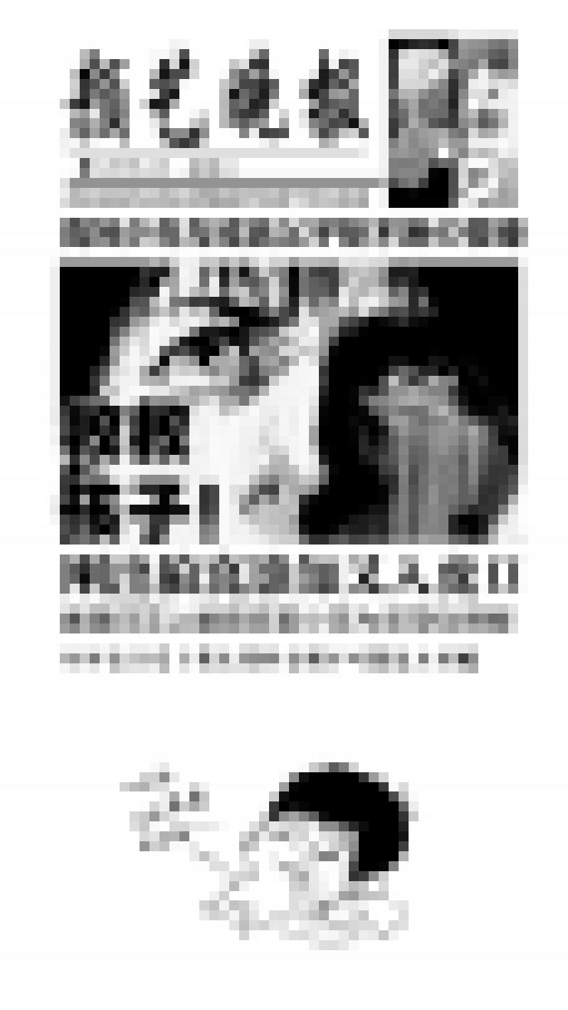 我有特别的颜艺技巧149.介绍2.0