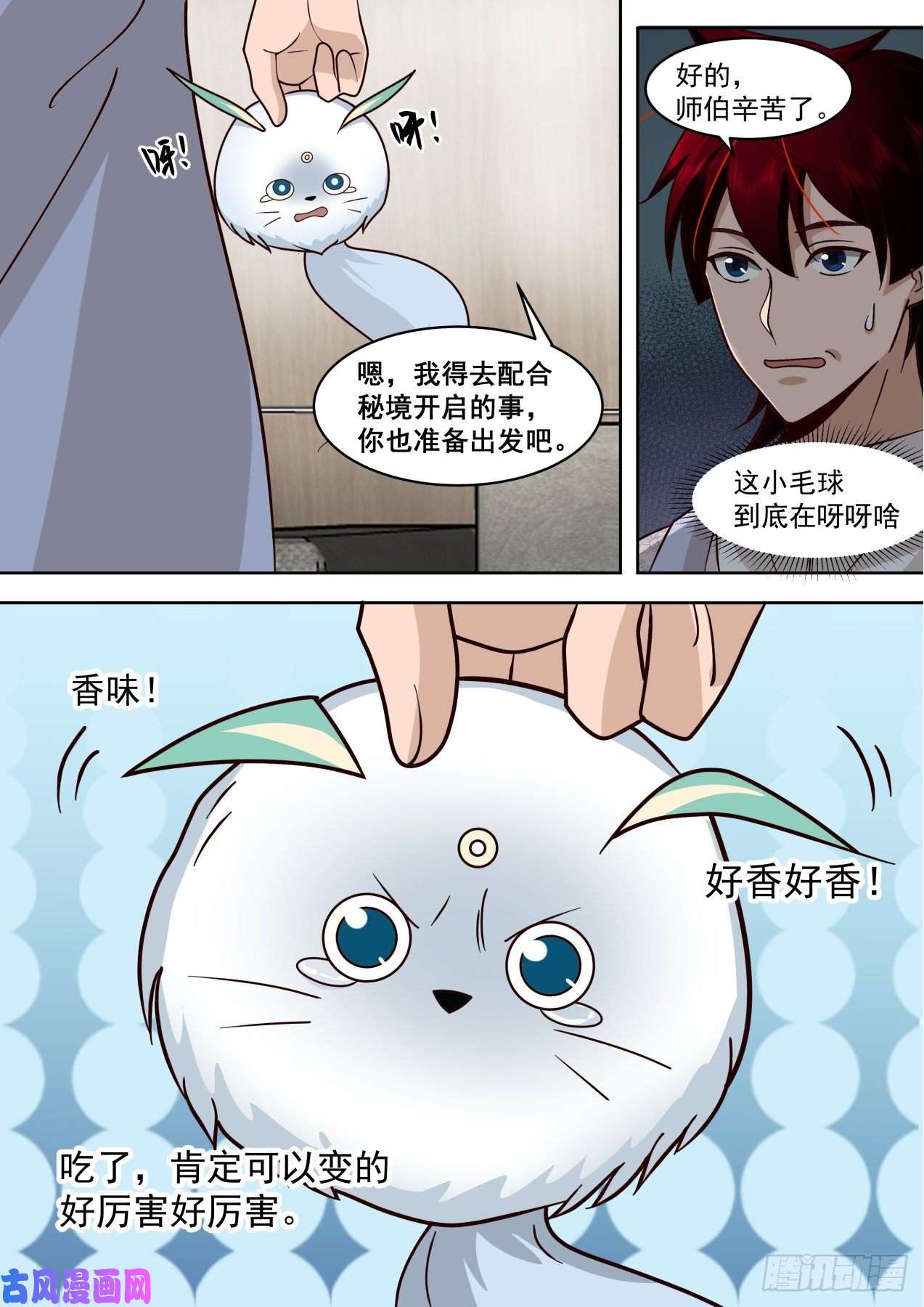 万族之劫识海秘境篇-小毛球初登场