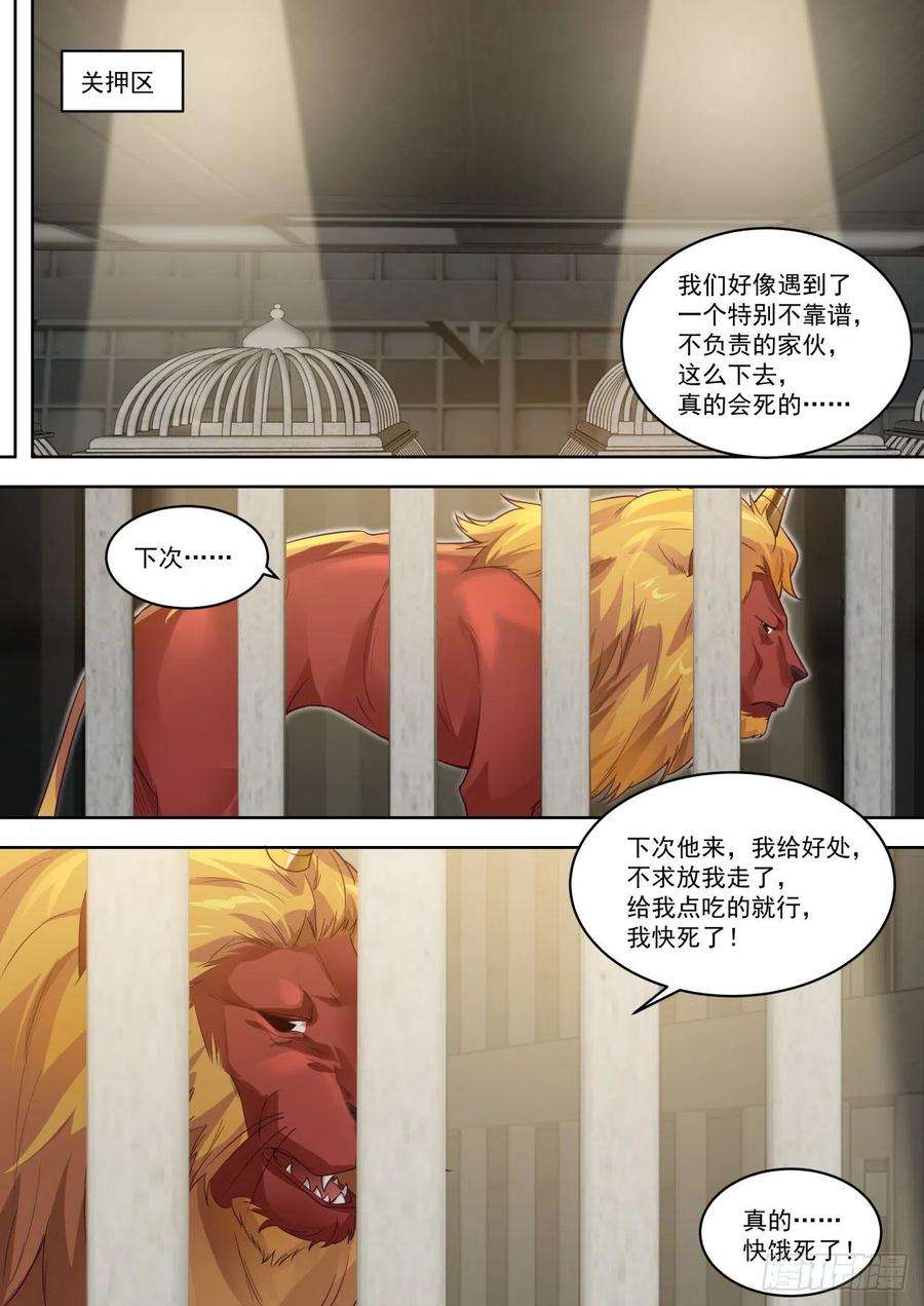 万族之劫可怜的白枫