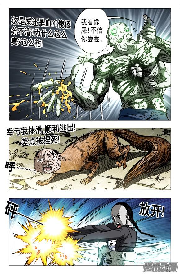 中国惊奇先生636 菊花与菜花