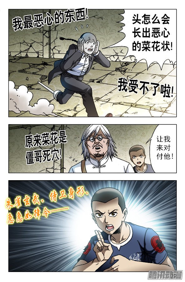 中国惊奇先生636 菊花与菜花