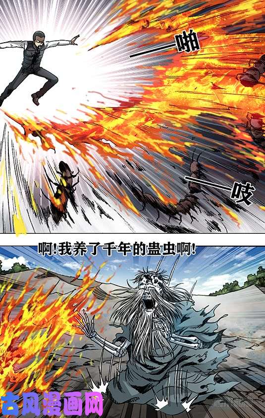 中国惊奇先生950 飞天蜈蚣