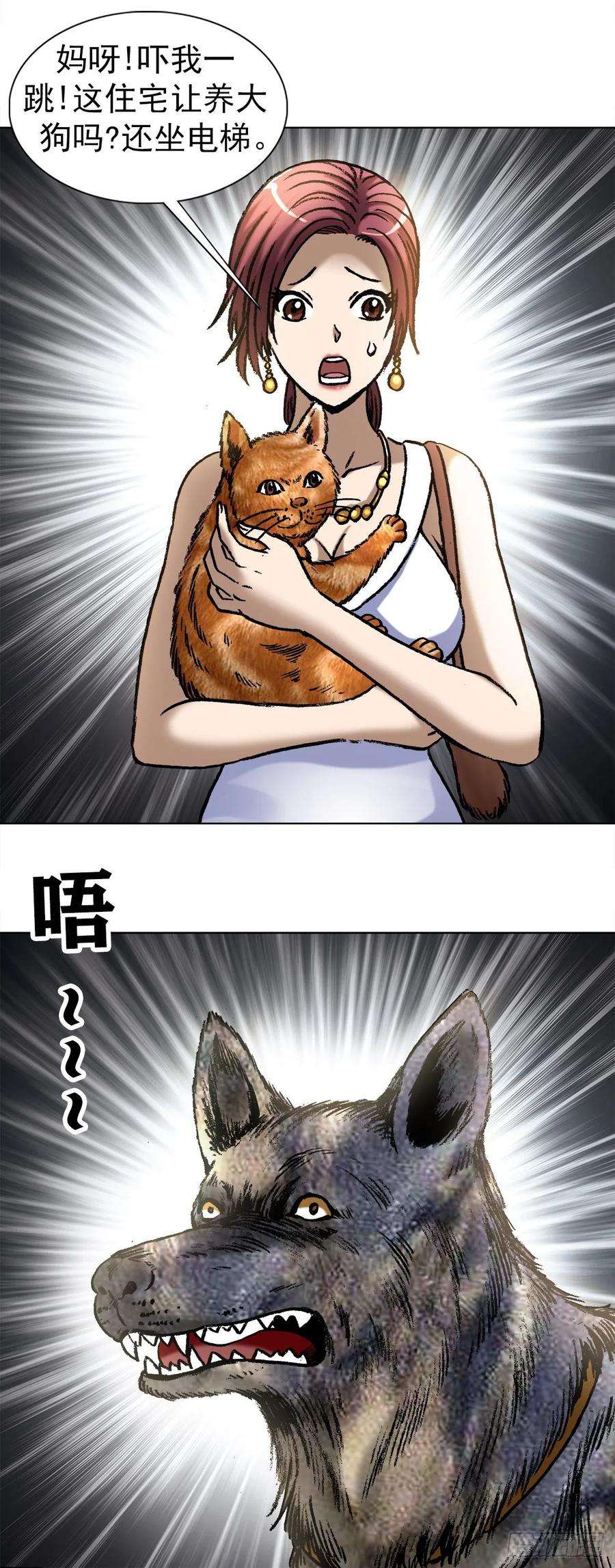 中国惊奇先生1019 猫