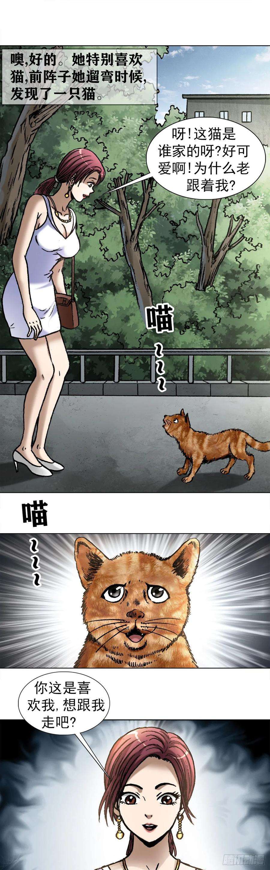 中国惊奇先生1019 猫