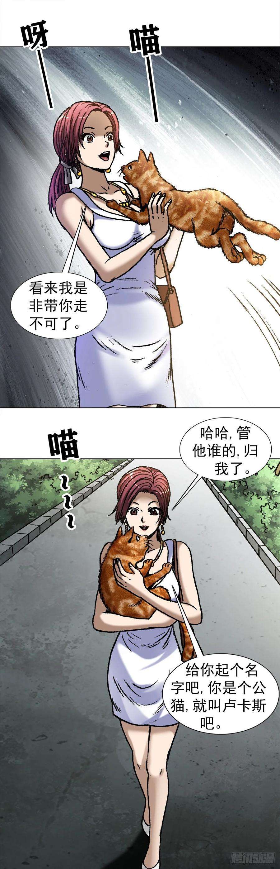 中国惊奇先生1019 猫
