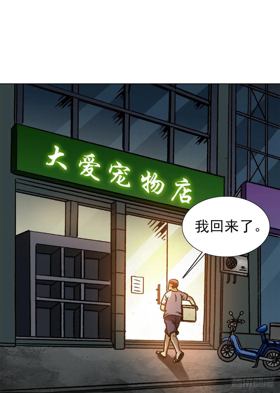 中国惊奇先生1029 宠物店