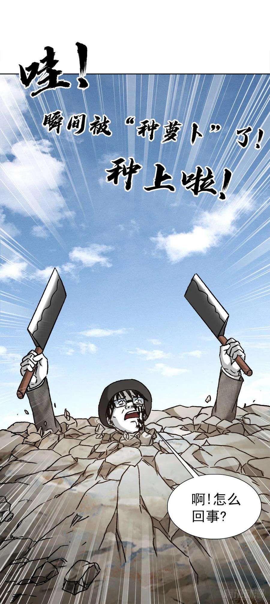 中国惊奇先生1305 种萝卜