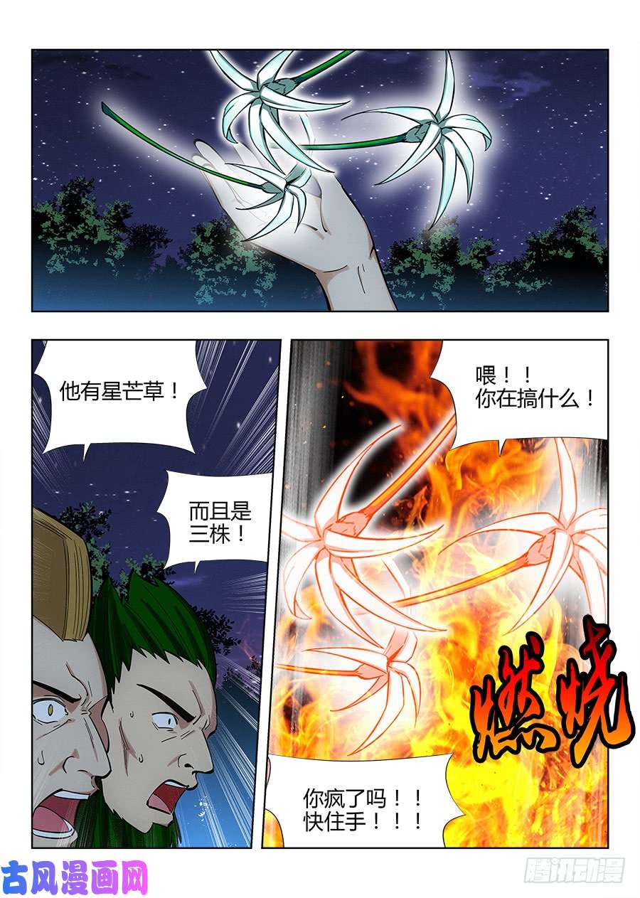 最强反套路系统049星芒草里真的有星芒吗？