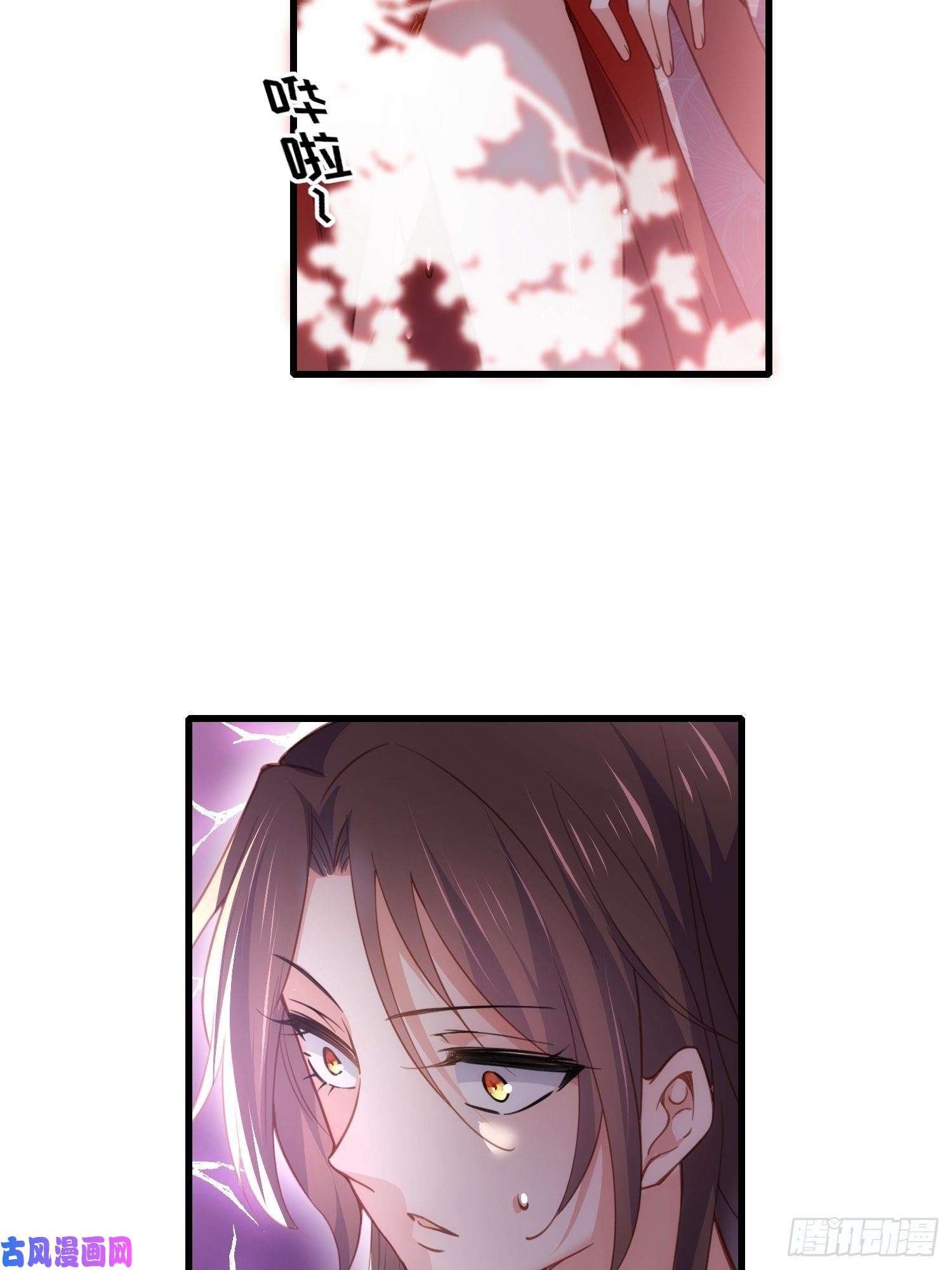 宦妃天下第180话 蓝大夫人死了