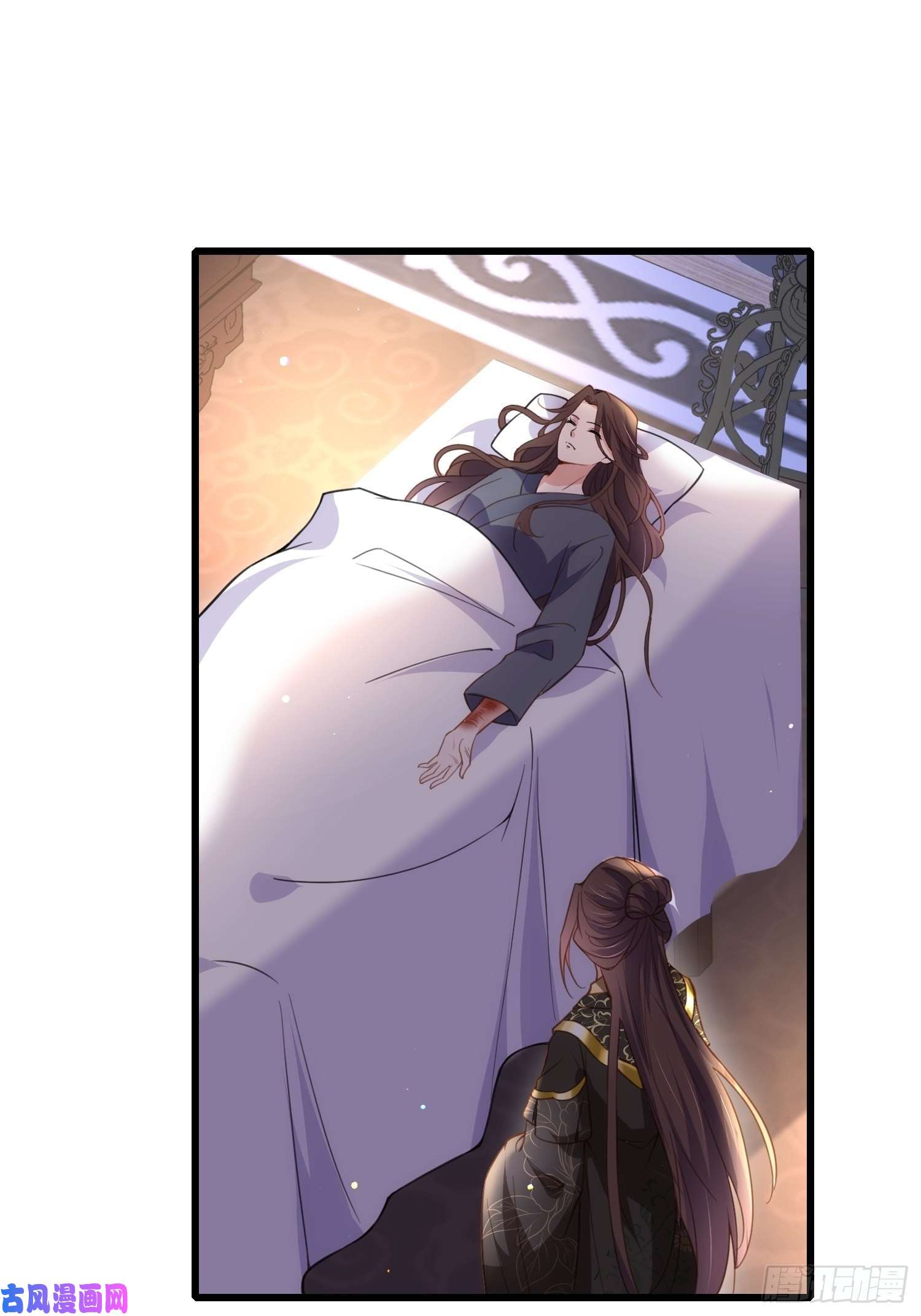 宦妃天下第180话 蓝大夫人死了