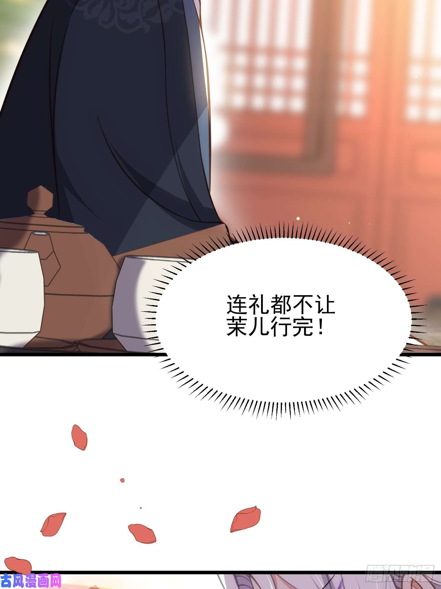 宦妃天下第200话 夫妻对拜