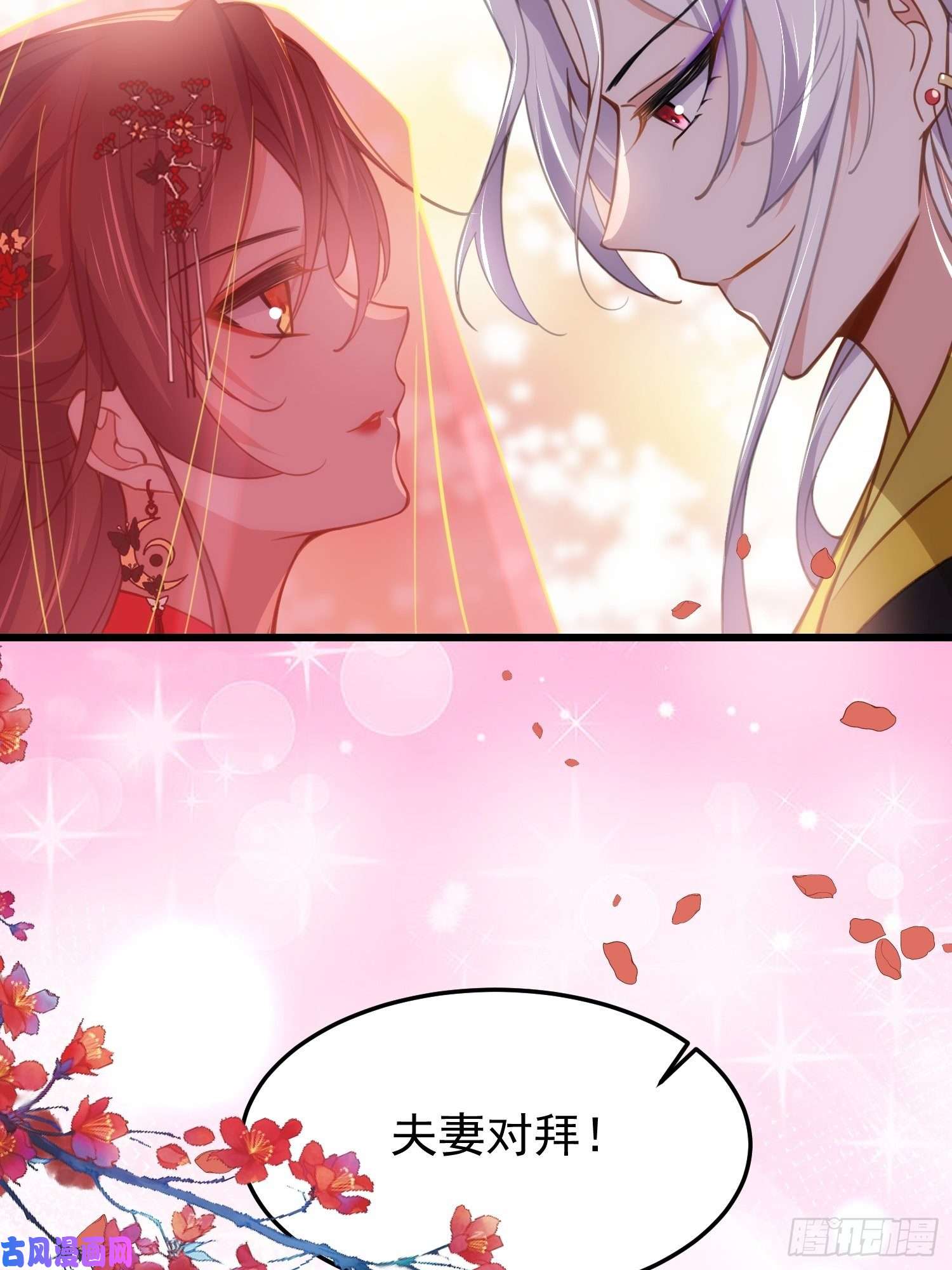 宦妃天下第200话 夫妻对拜