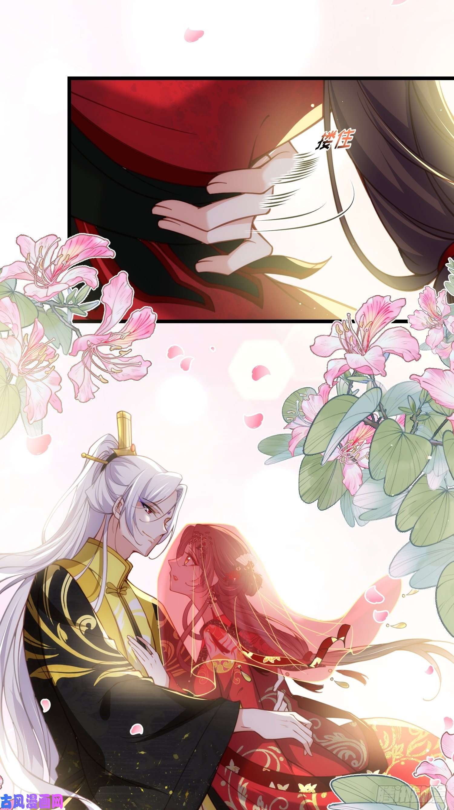 宦妃天下第200话 夫妻对拜