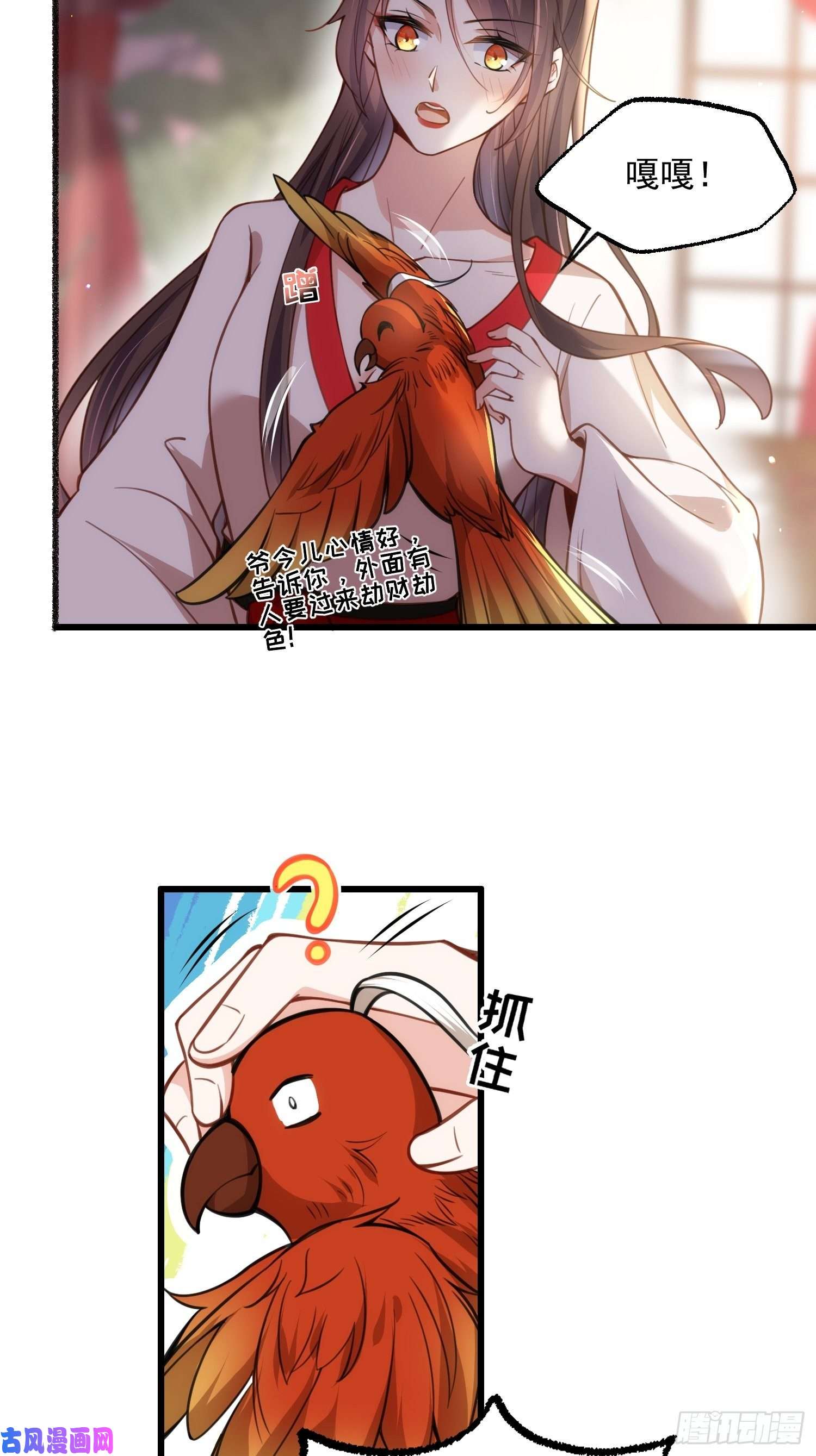 宦妃天下第204话 洞房炸了