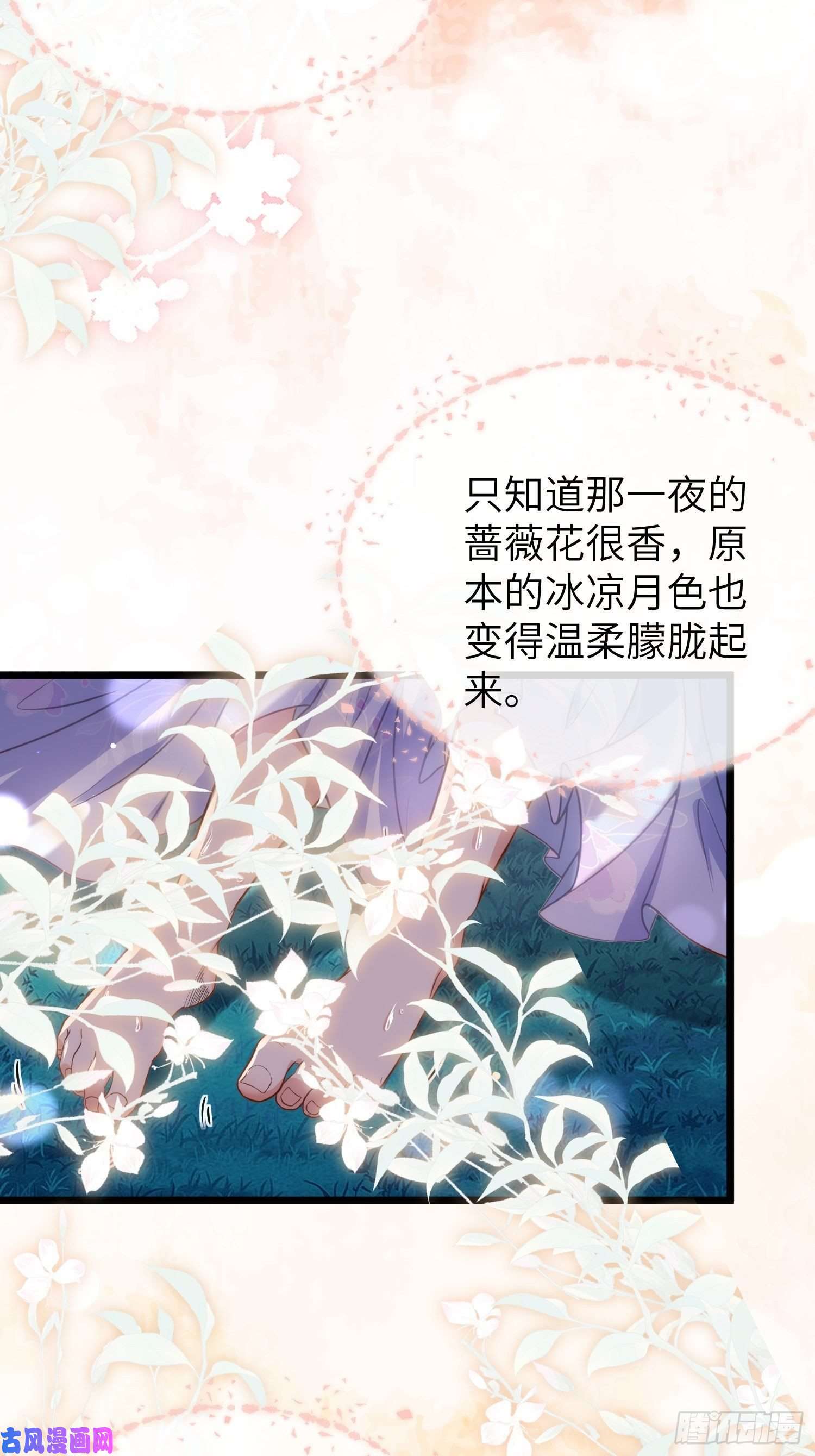 宦妃天下第208话 花前月下洞房