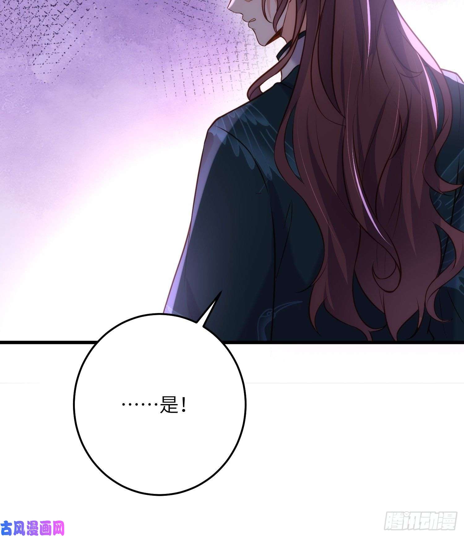 宦妃天下第226话 陆相的阴谋