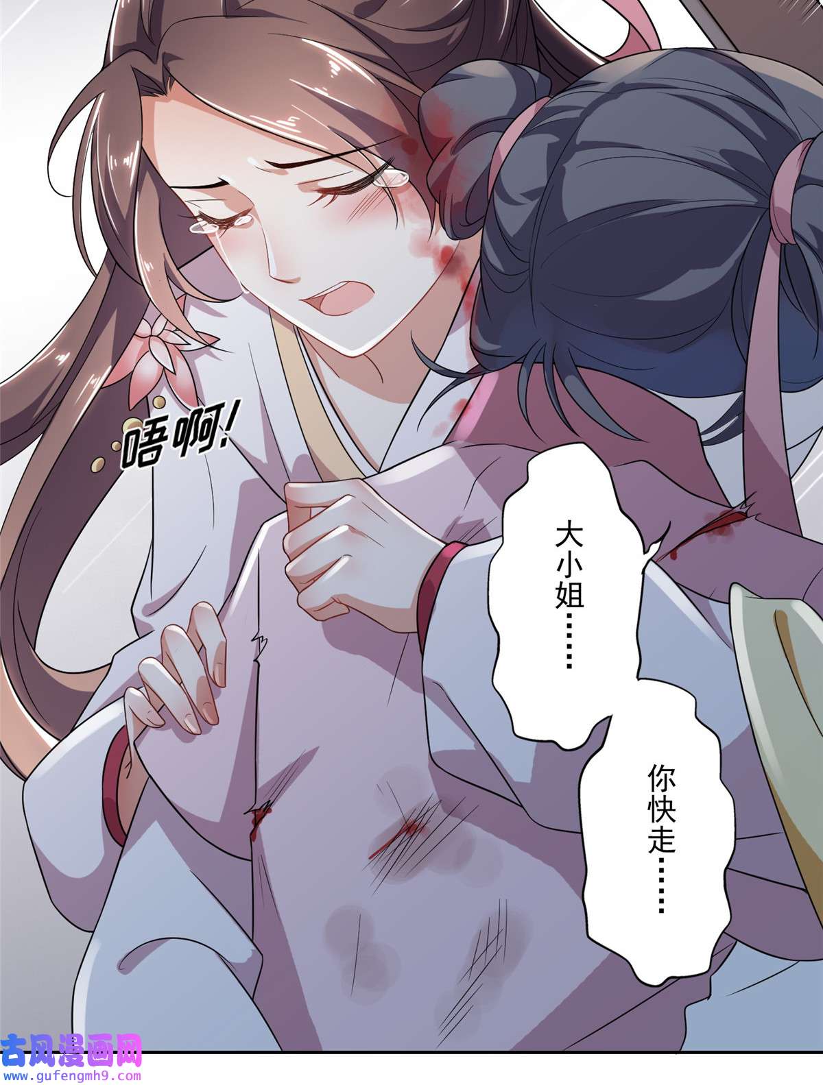 宦妃天下001 凌辱