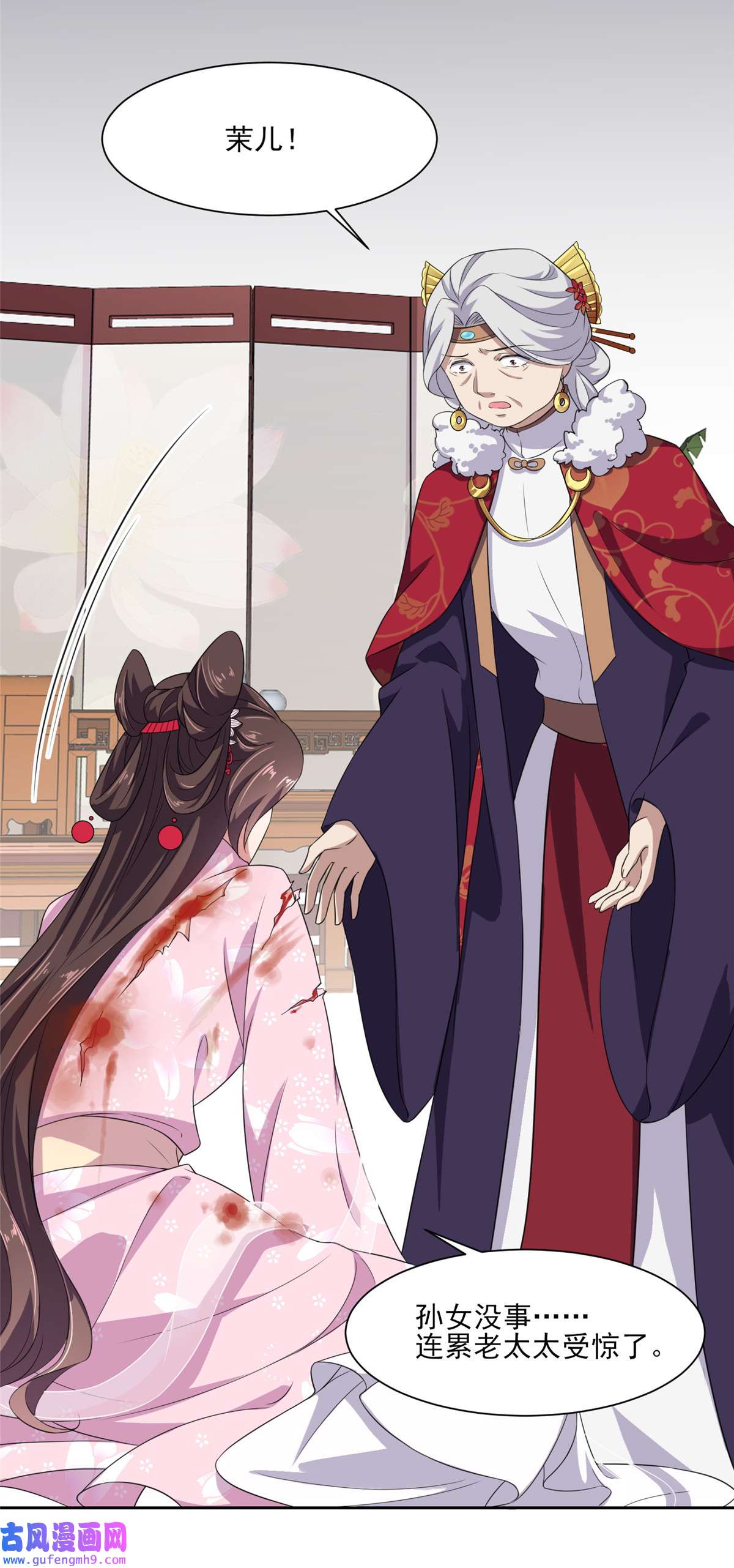 宦妃天下014 入了老太太的眼