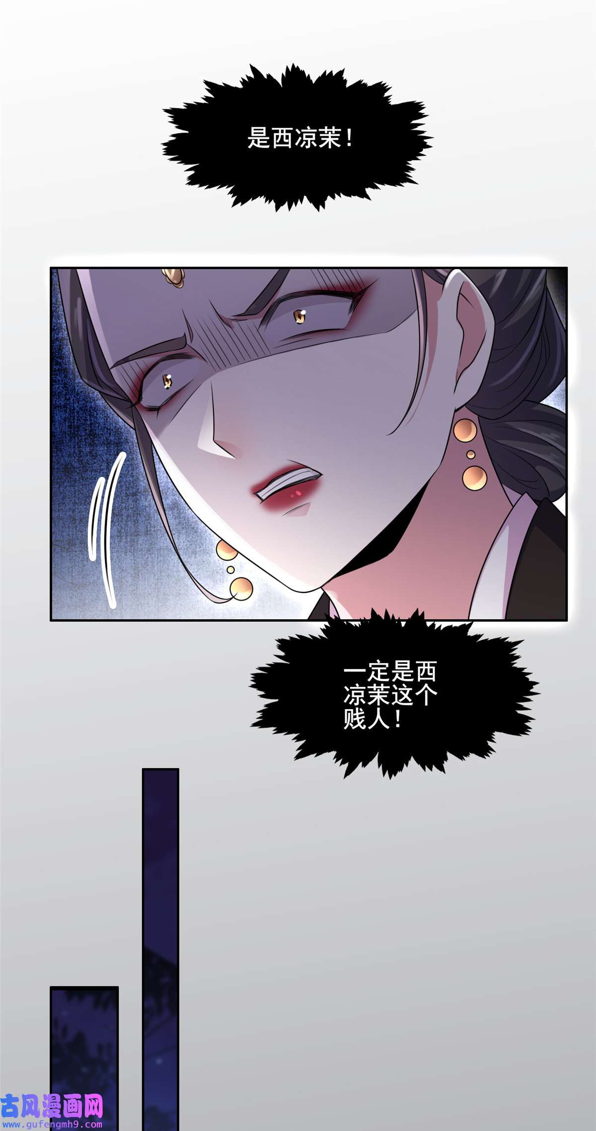 宦妃天下034 西凉丹毁容