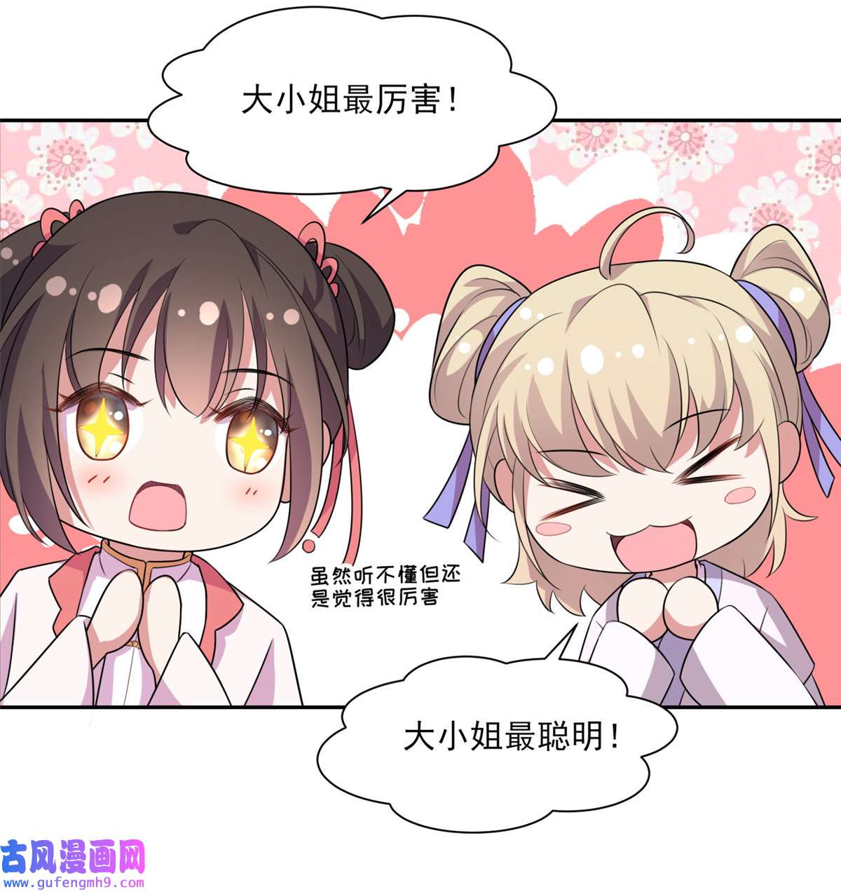 宦妃天下035 她就是个野种！