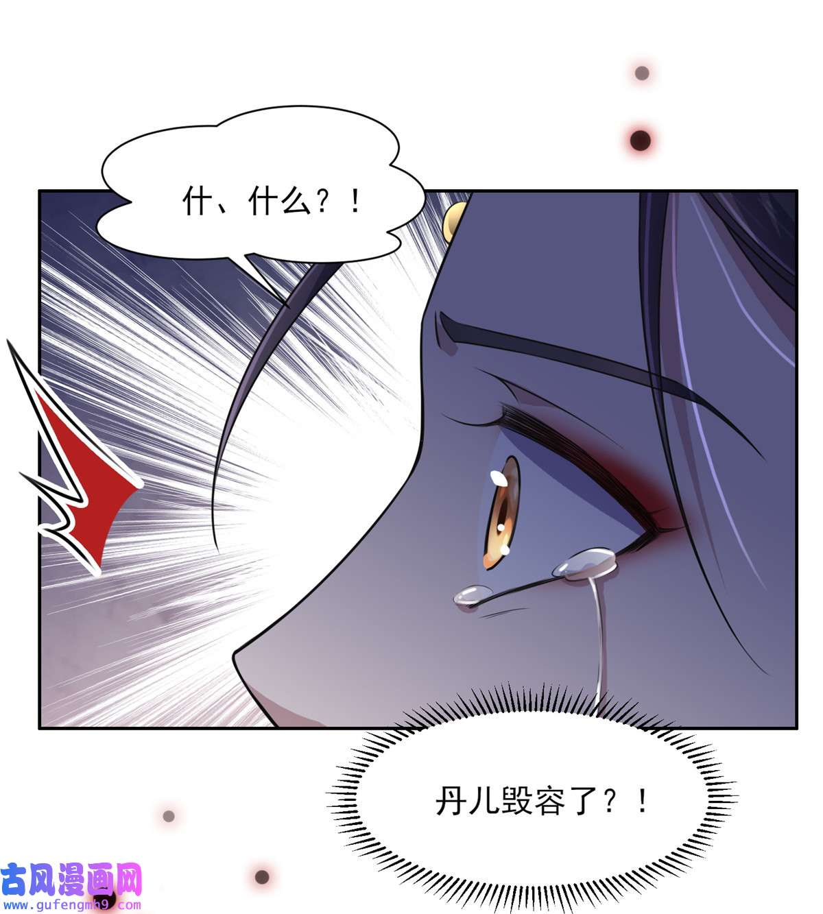 宦妃天下035 她就是个野种！