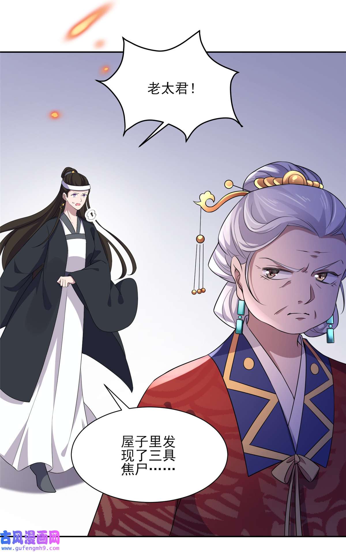 宦妃天下040 火葬西凉本家