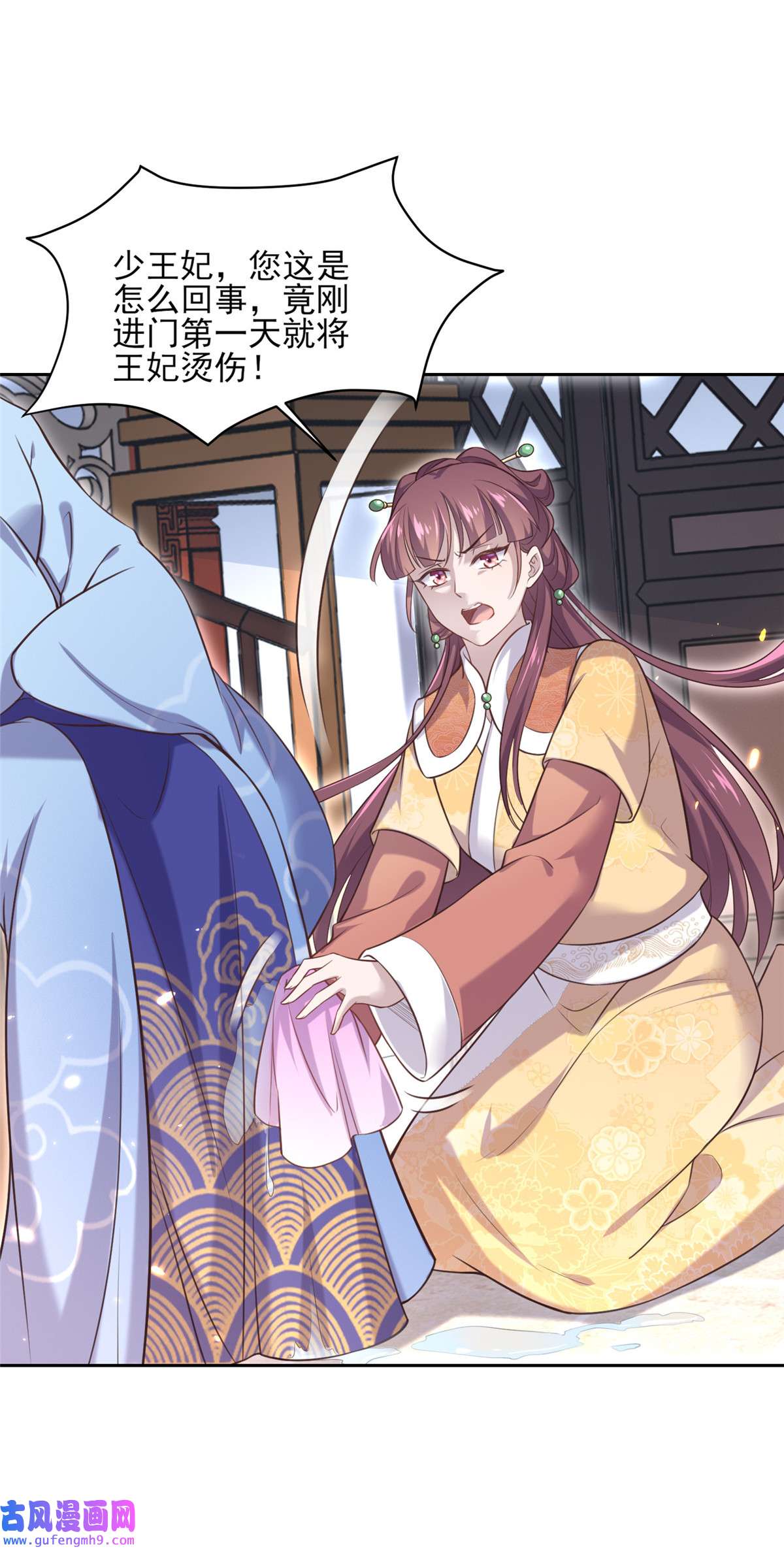 宦妃天下085 渣男司流风