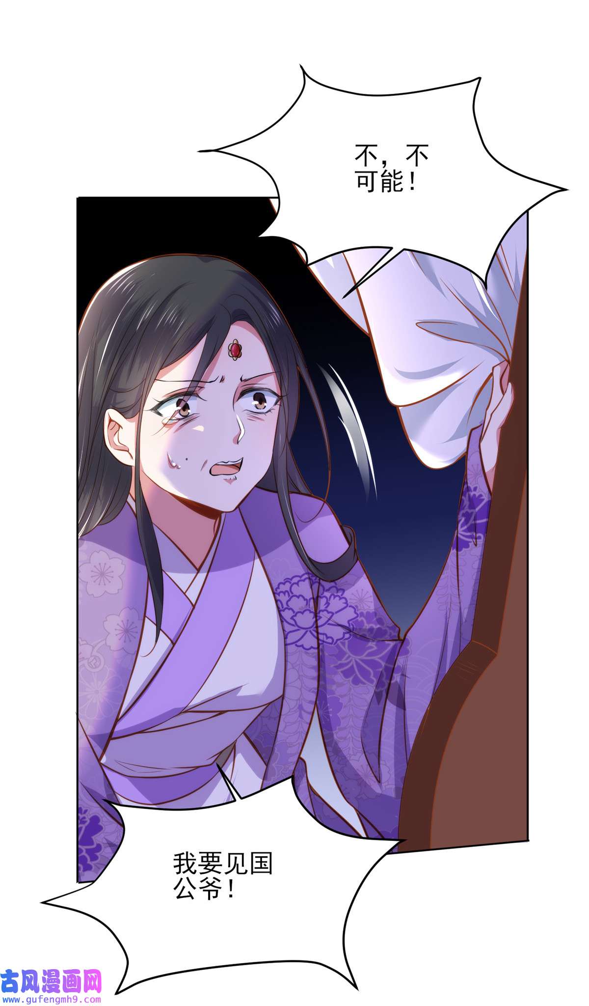 宦妃天下102 你就是个杂种！