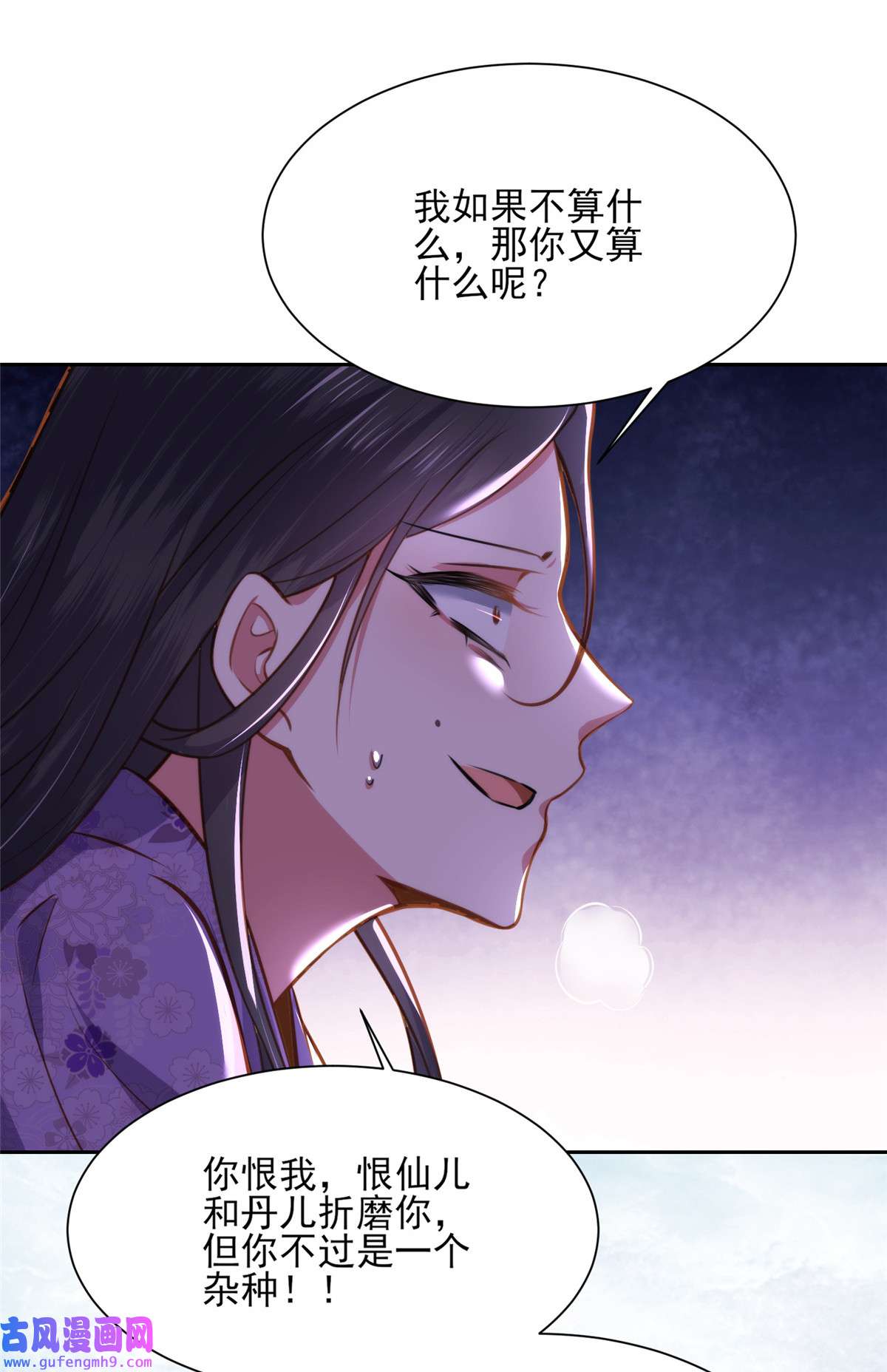 宦妃天下102 你就是个杂种！