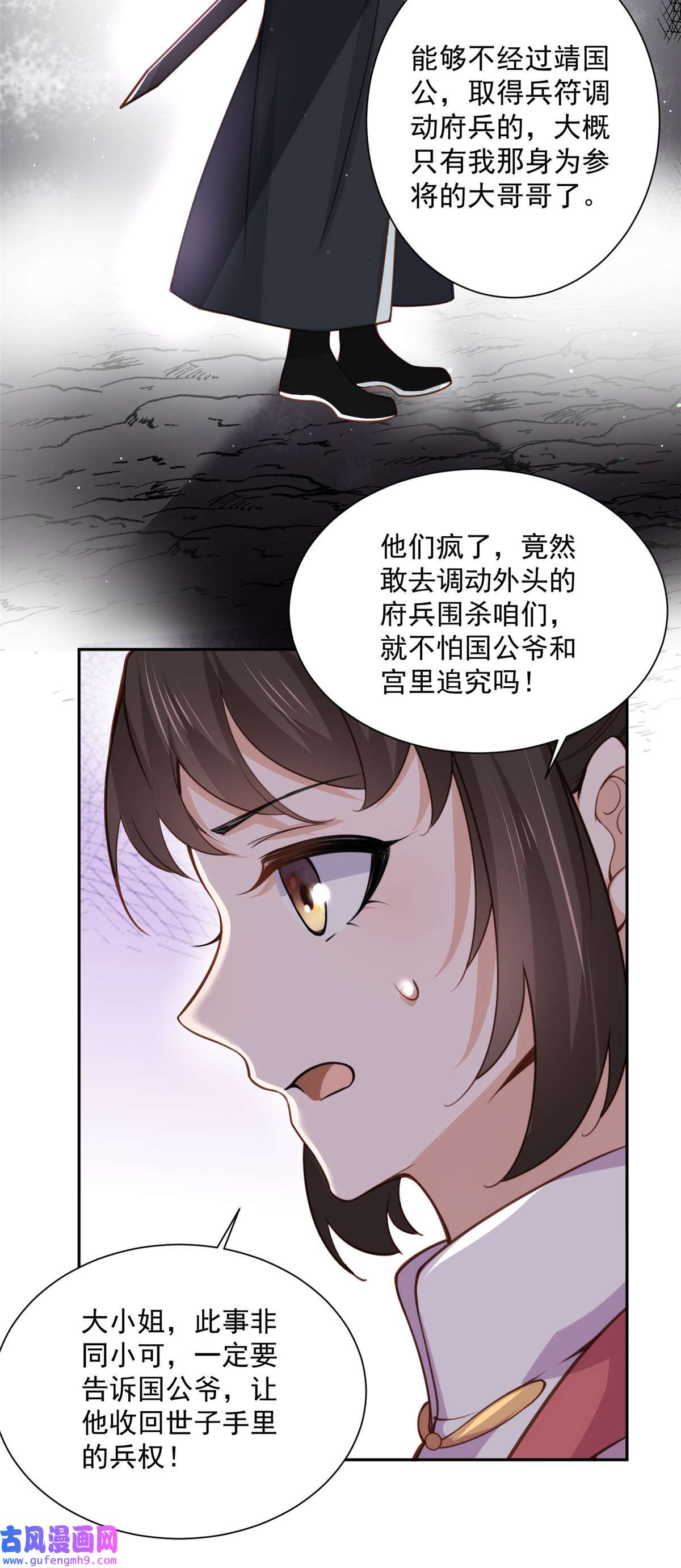 宦妃天下118 剿杀局