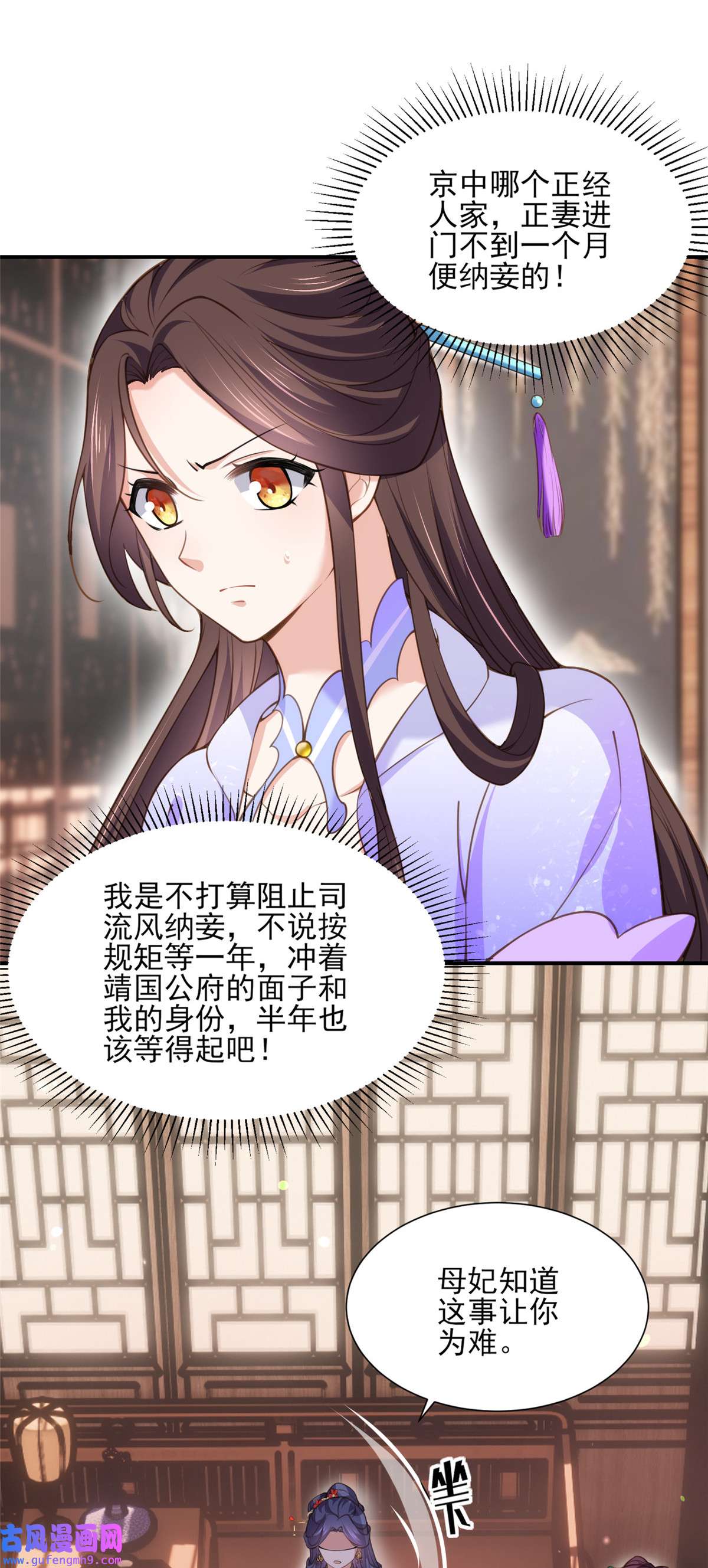 宦妃天下120 司流风纳妾