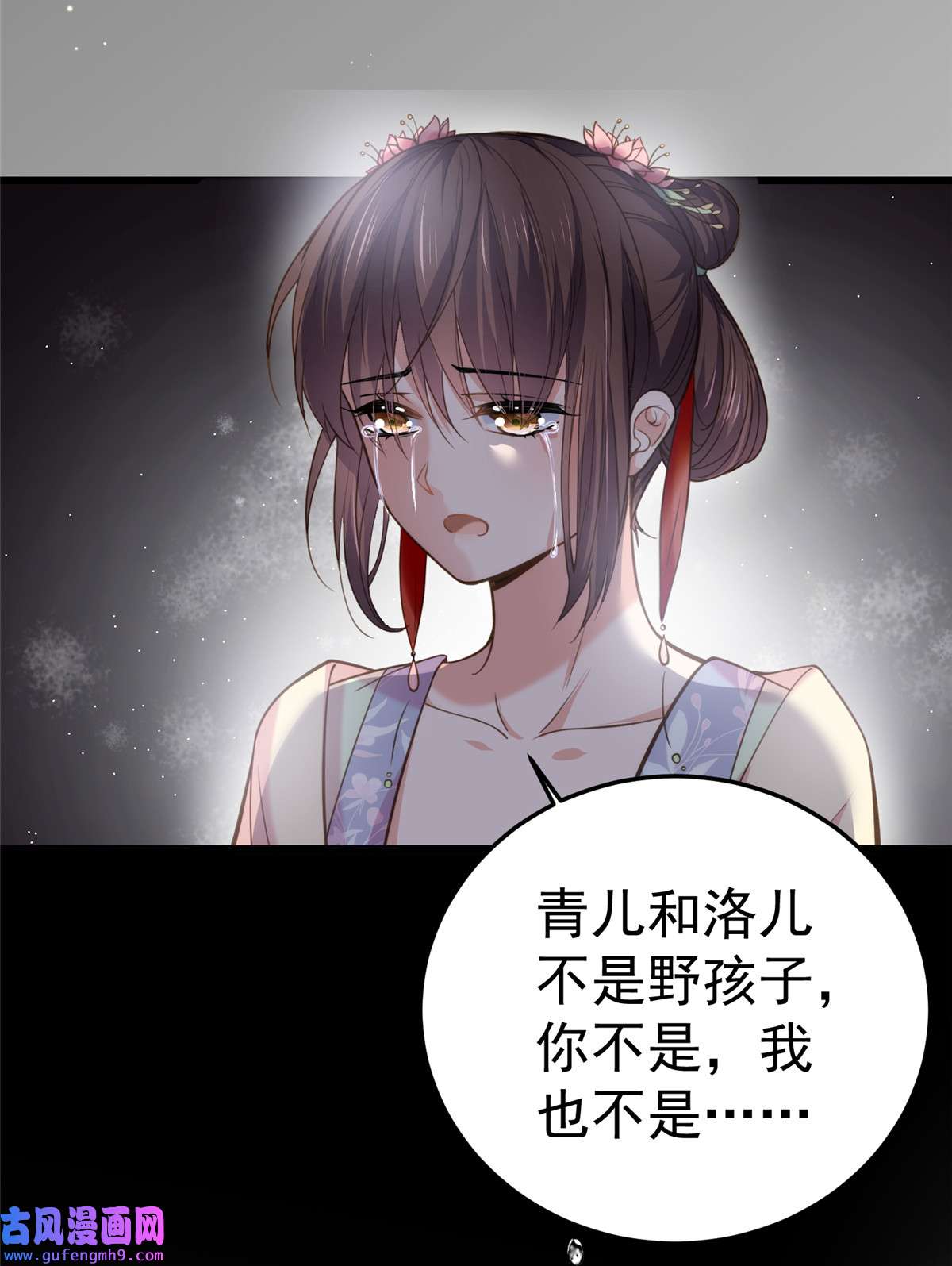 宦妃天下132 蓝翎的过去