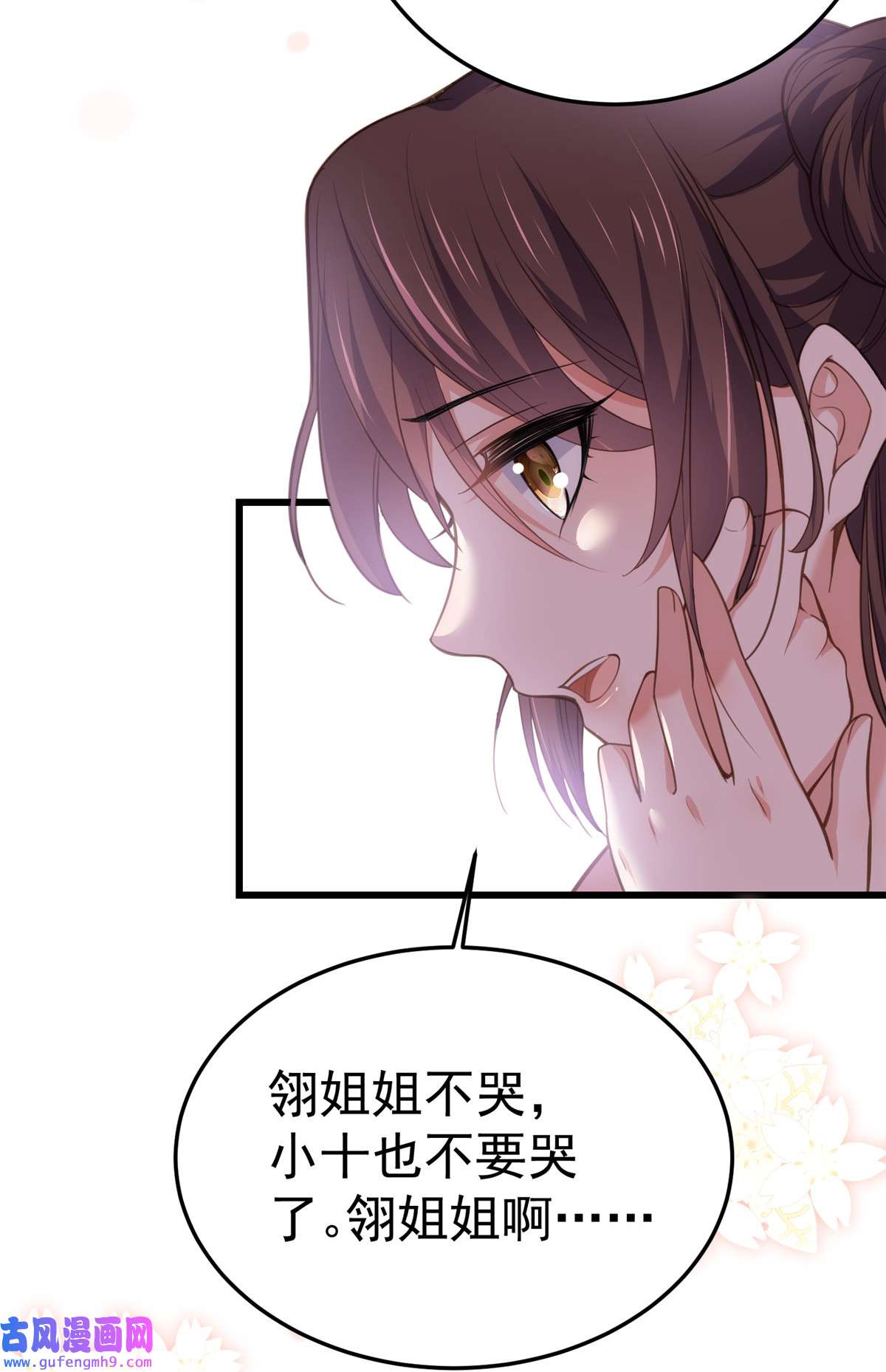 宦妃天下132 蓝翎的过去