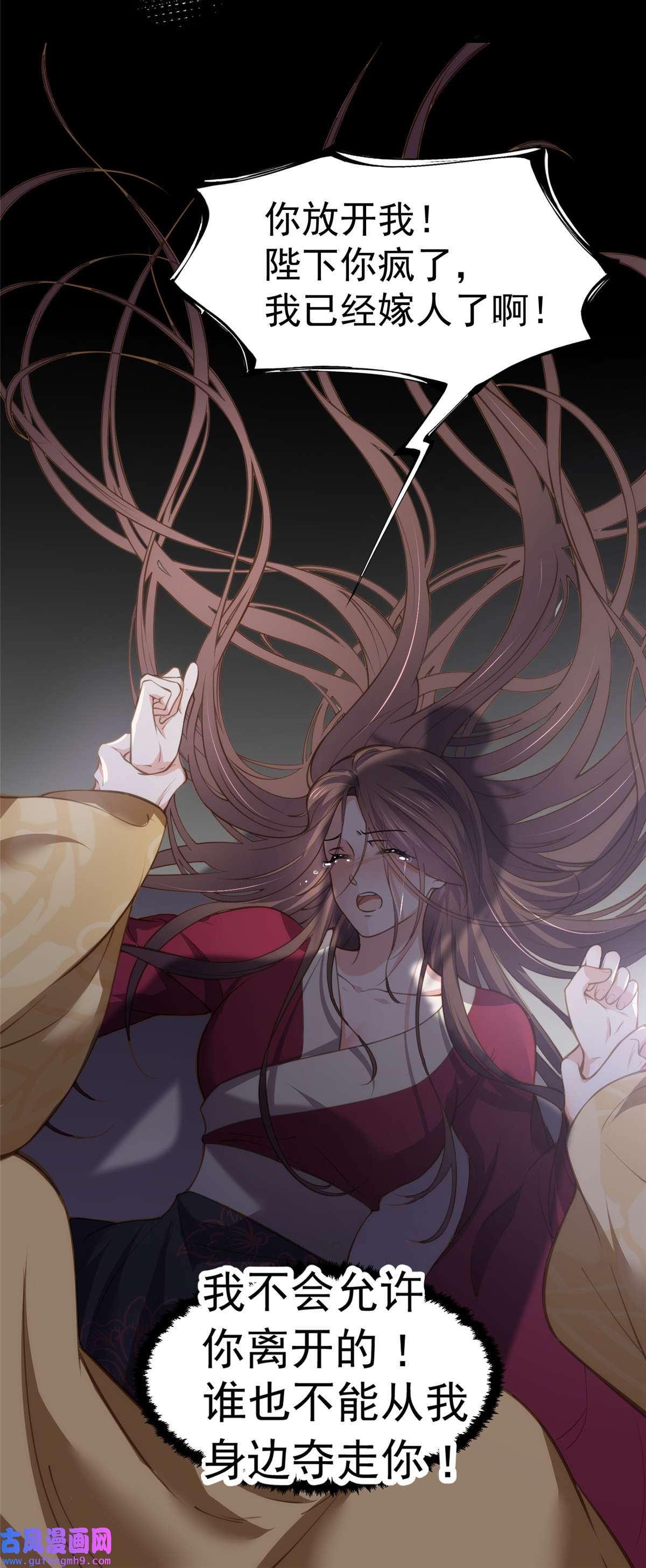 宦妃天下132 蓝翎的过去