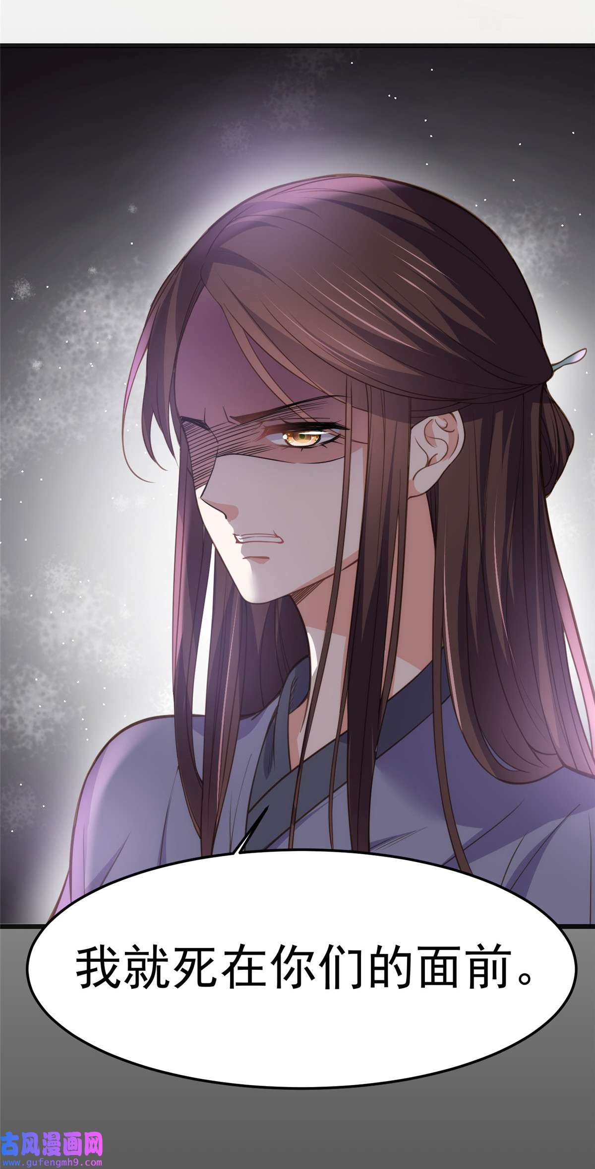 宦妃天下132 蓝翎的过去