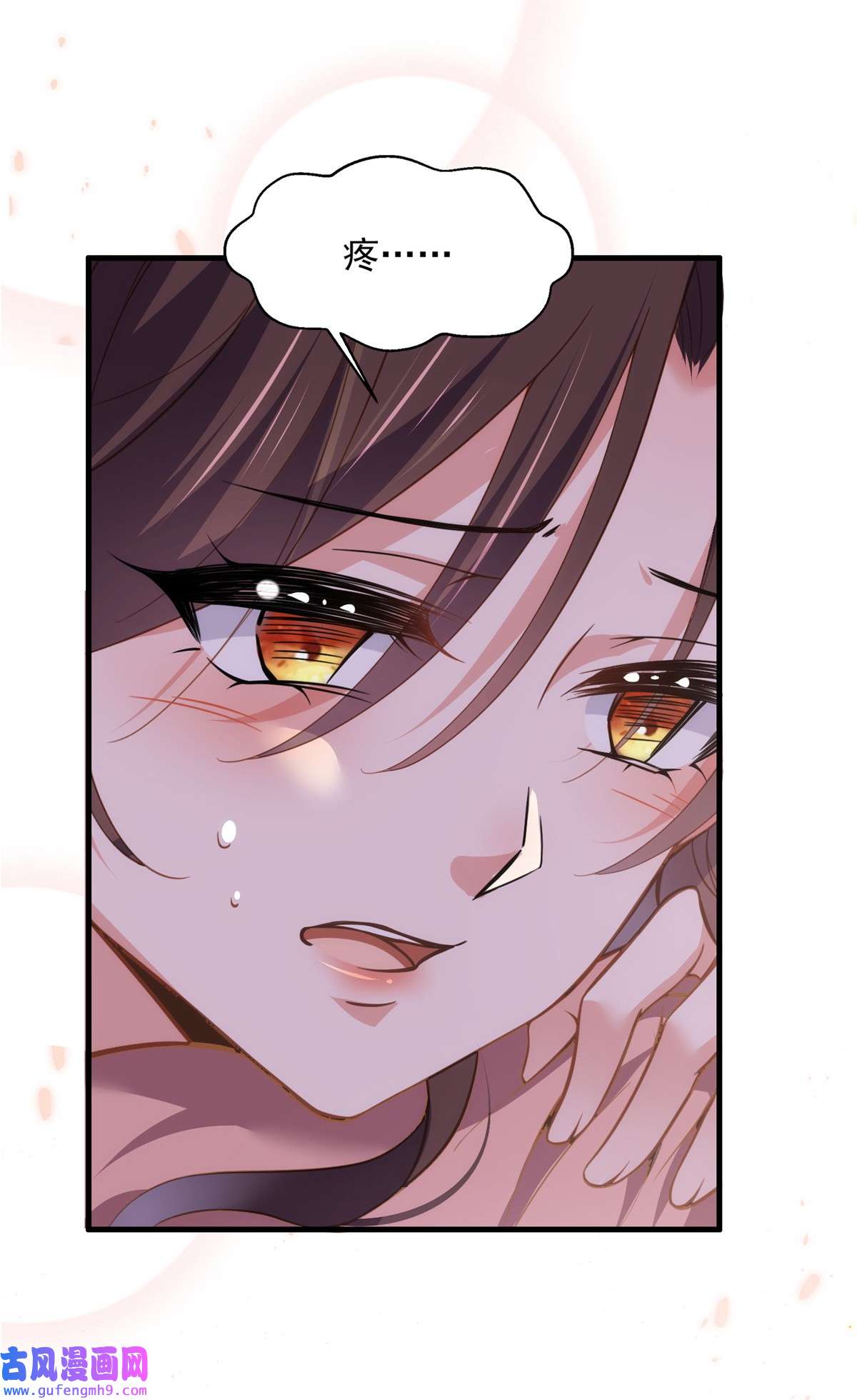 宦妃天下158 嫌本座老了？