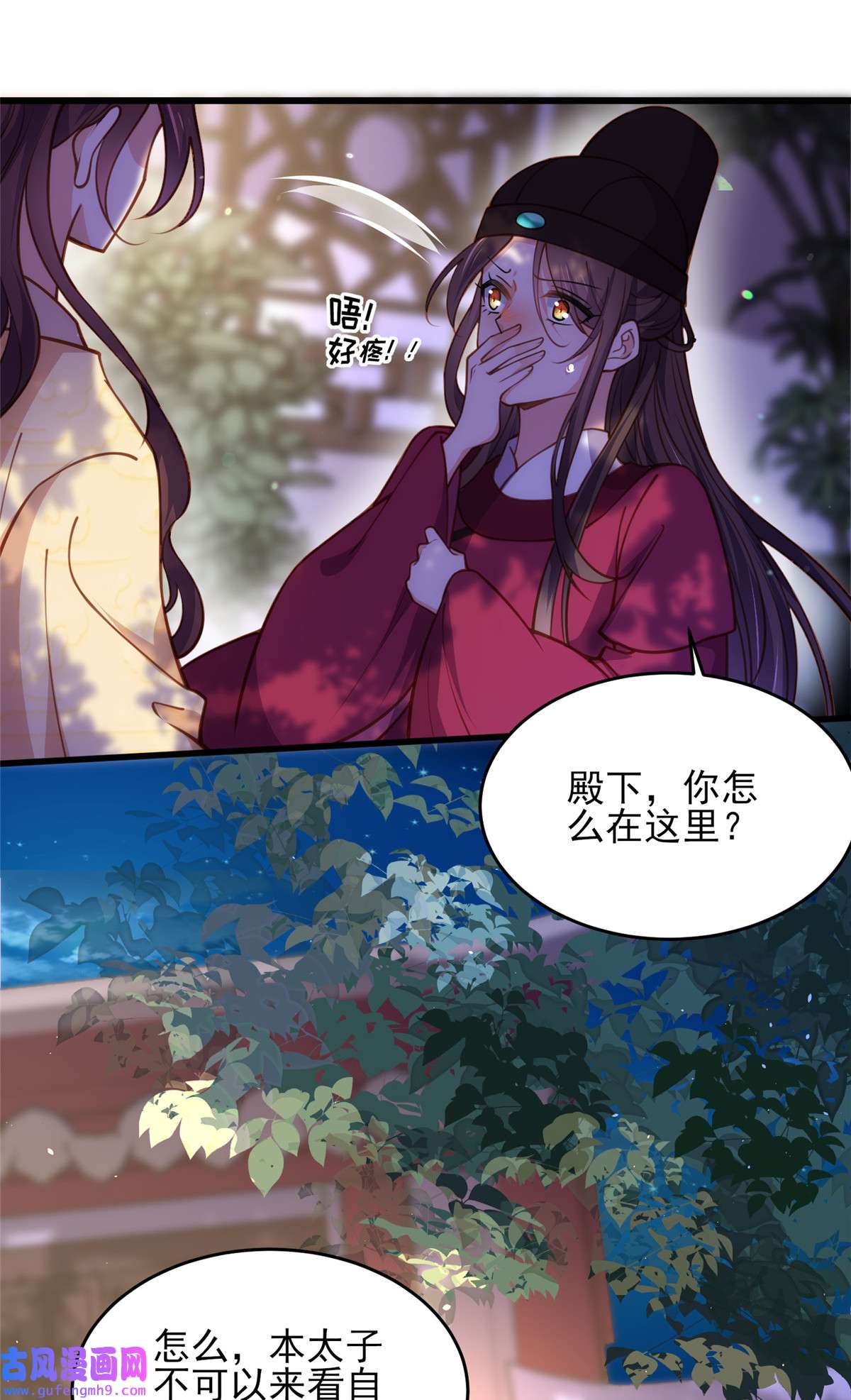 宦妃天下170 太子强吻