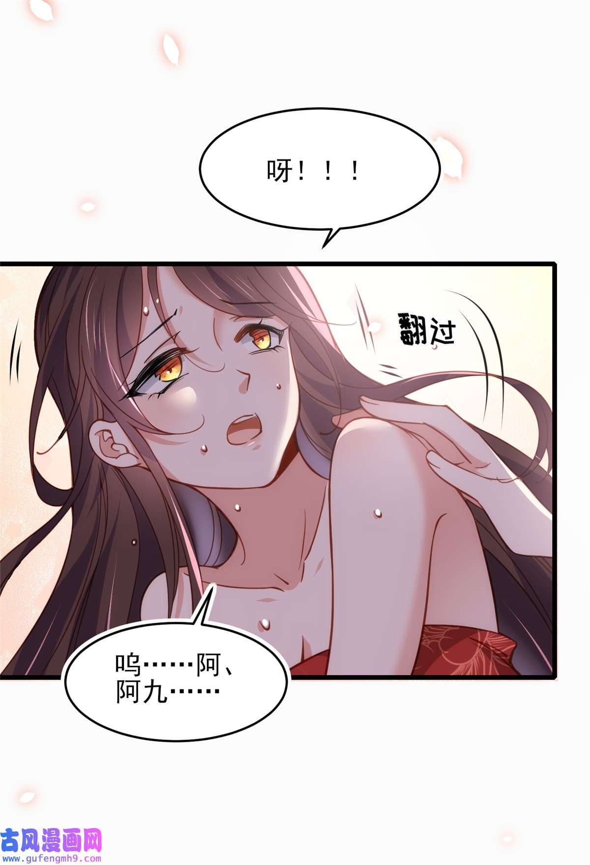 宦妃天下179 老子要的是你！