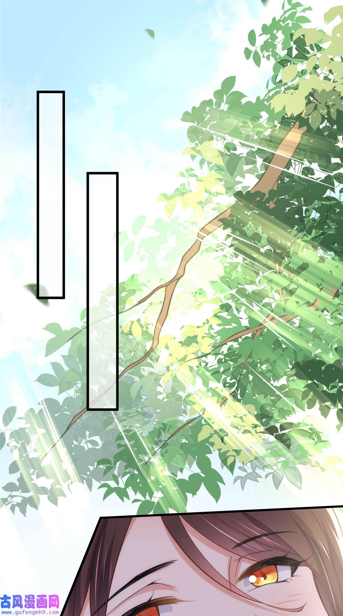 宦妃天下187 宠爱