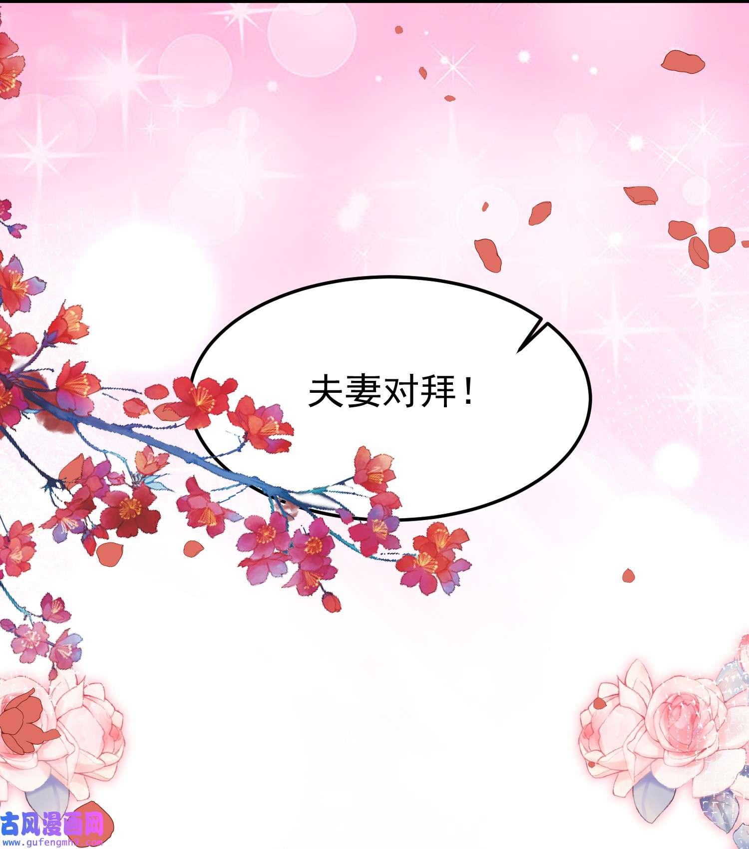 宦妃天下200 夫妻对拜