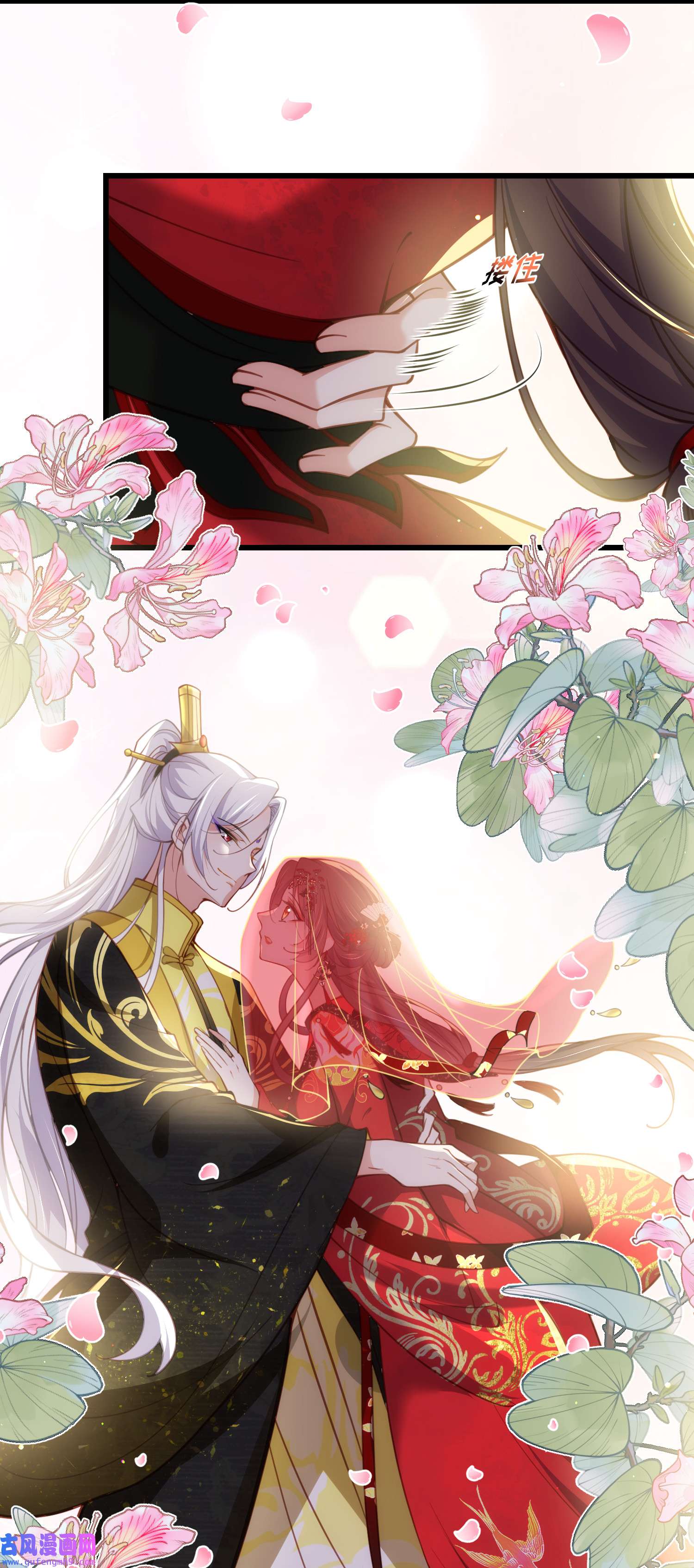 宦妃天下200 夫妻对拜