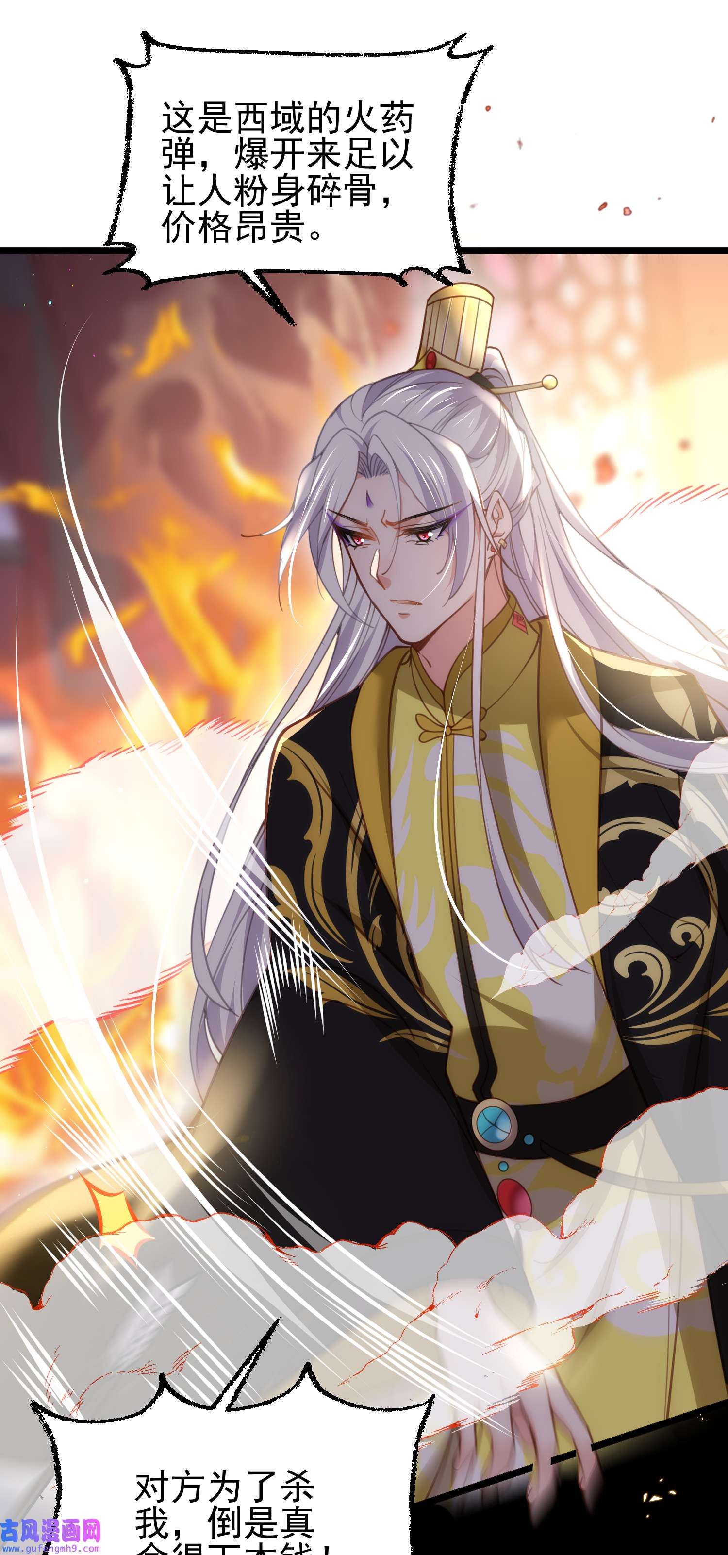 宦妃天下204 洞房炸了